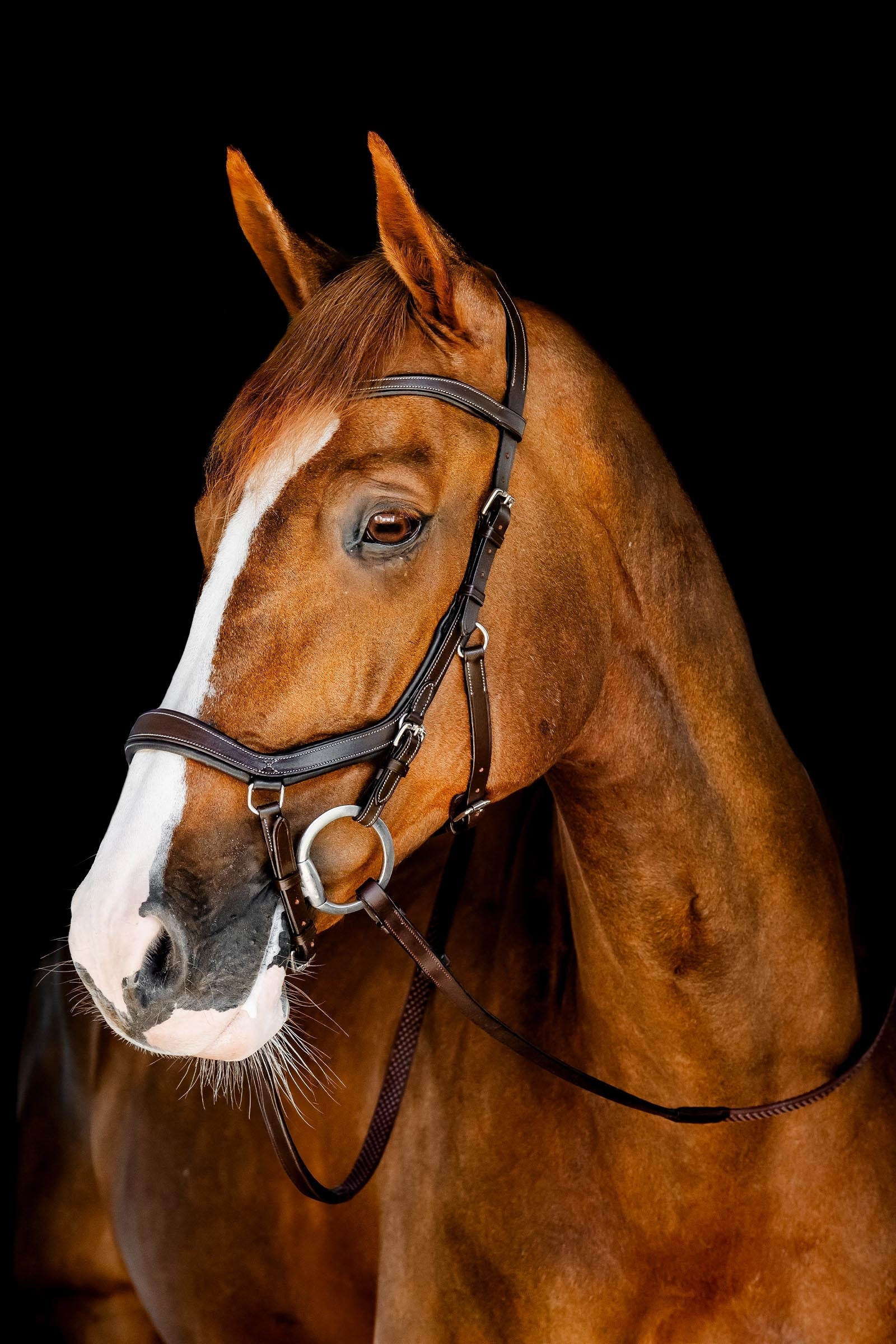 Horseware Rambo Micklem tävlingsträns Träns & Tyglar