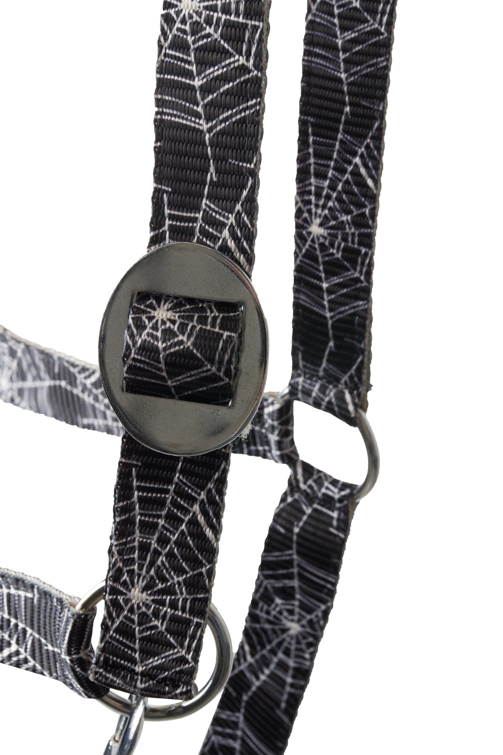 Horze Halloween Halter Halters & Leads