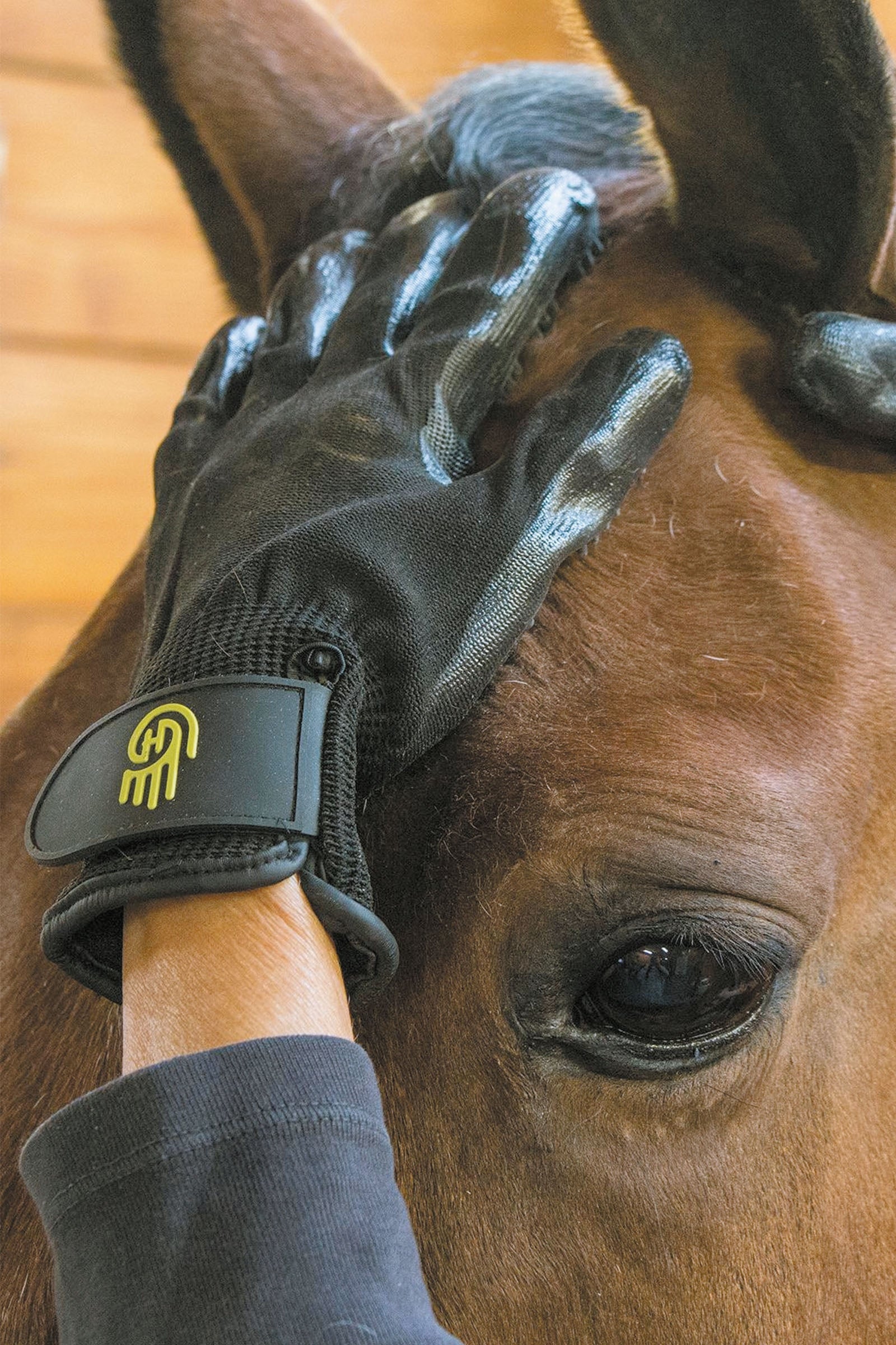 LeMieux Hands On Glove Horse Grooming Tools