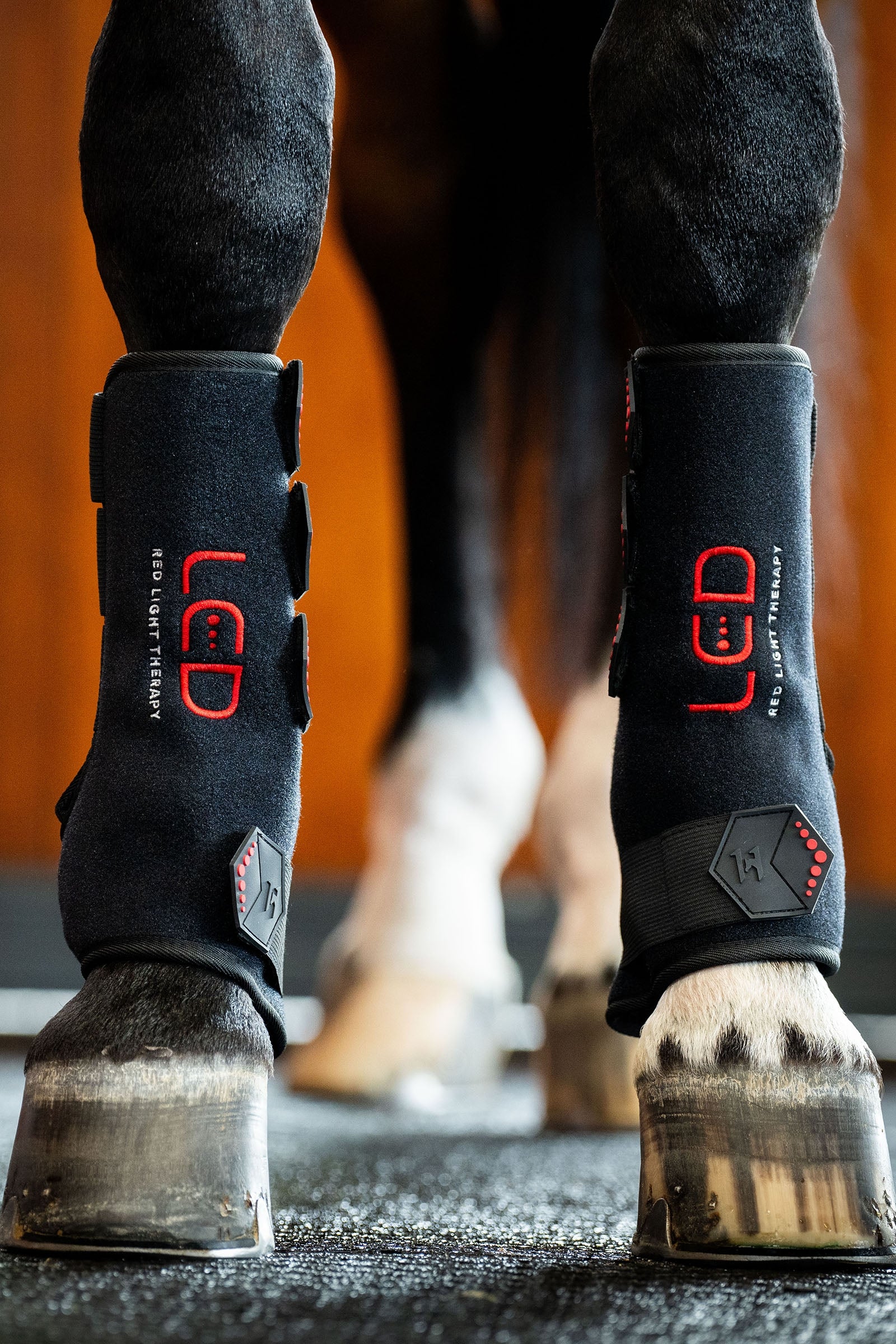 Horseware LED-rött ljusterapi benskydd (1 st.) Leg Protection & Hoof Protection for Horses
