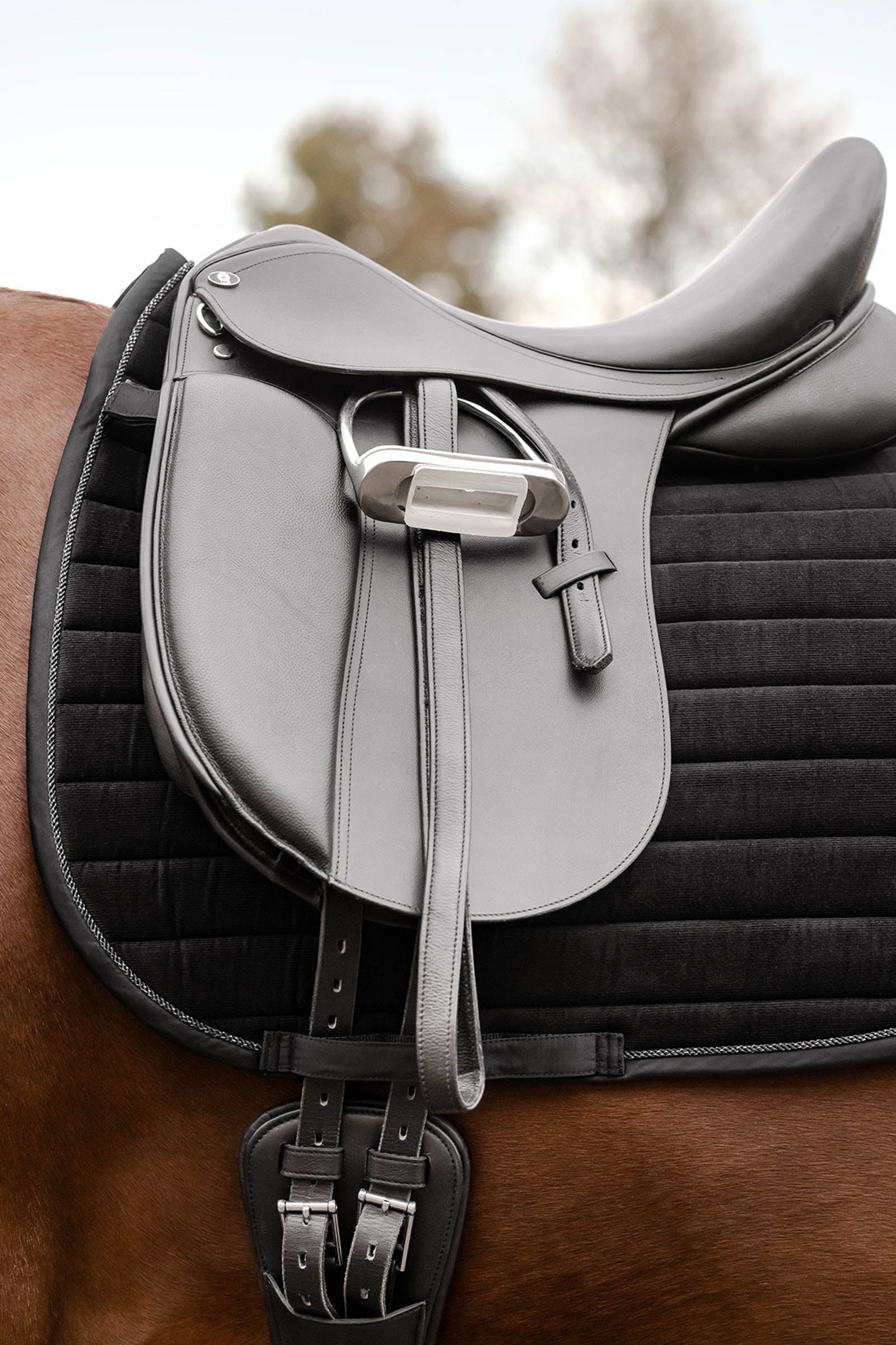Waldhausen St. Gallen Dressage Saddle Pad Saddle Pads