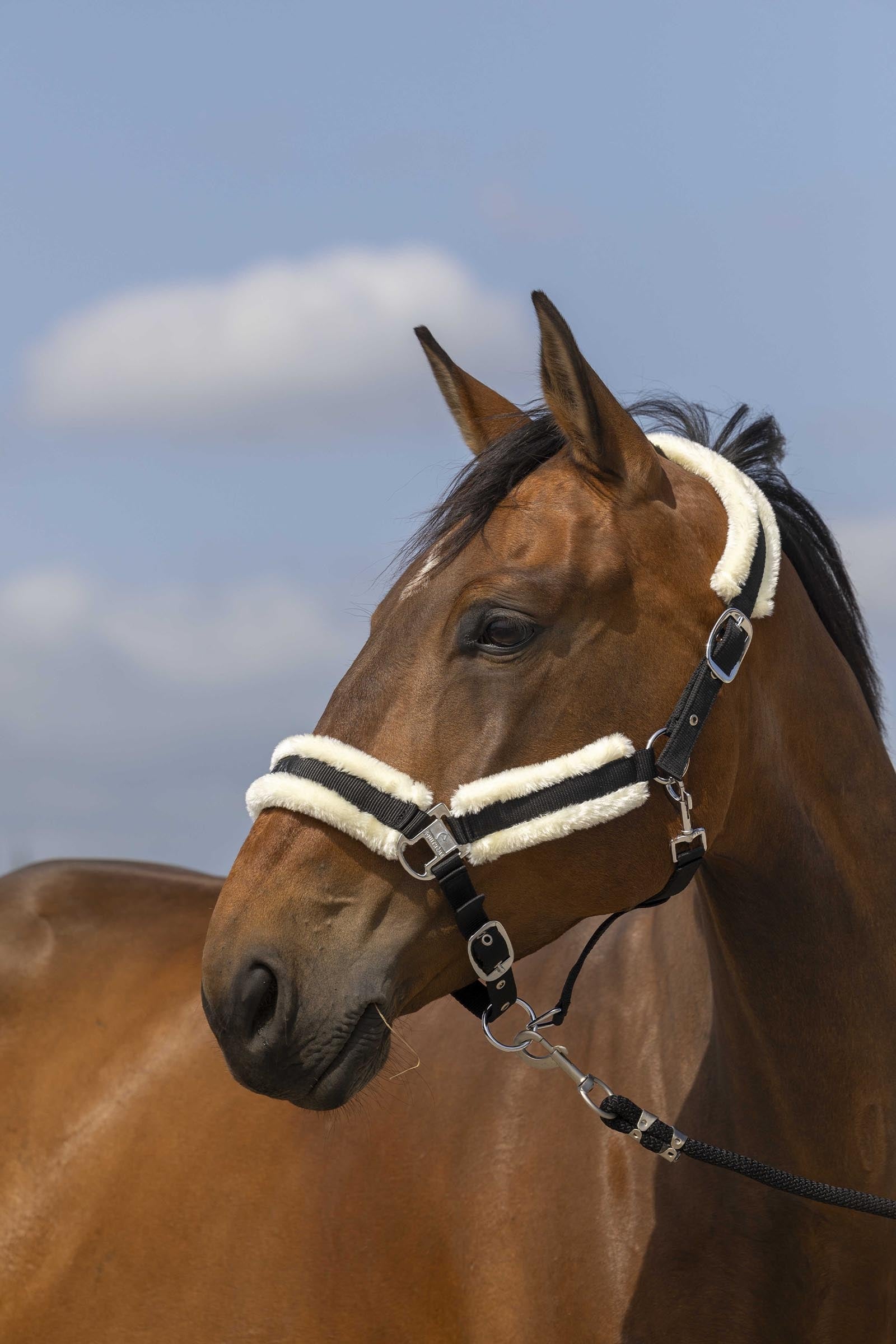 EQUITHÈME Nylon Mouton grimma Grimma & grimskaft
