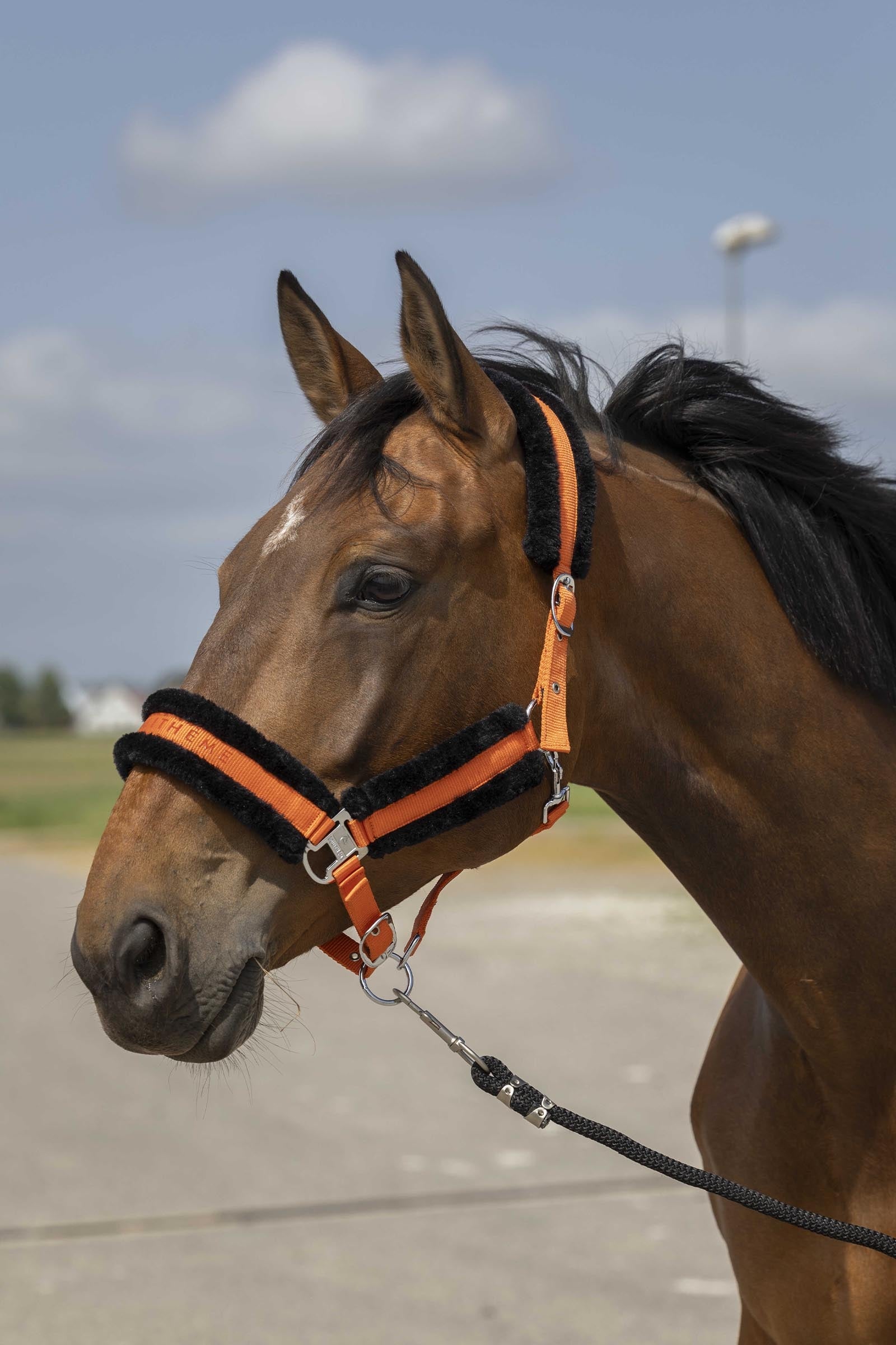 EQUITHÈME Nylon Mouton grimma Grimma & grimskaft