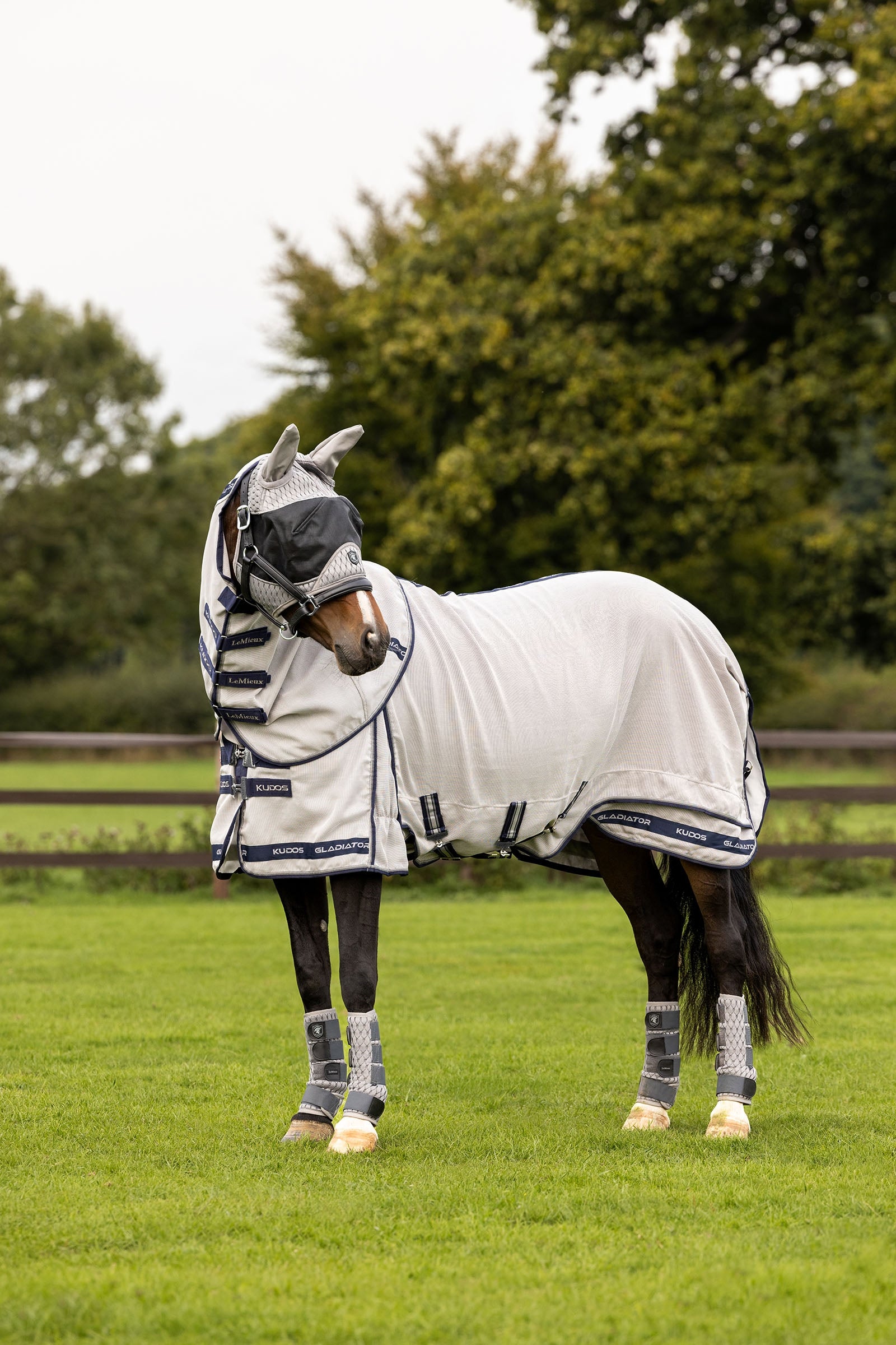 LeMieux Kudos Gladiator flugtäcke Hästtäcken