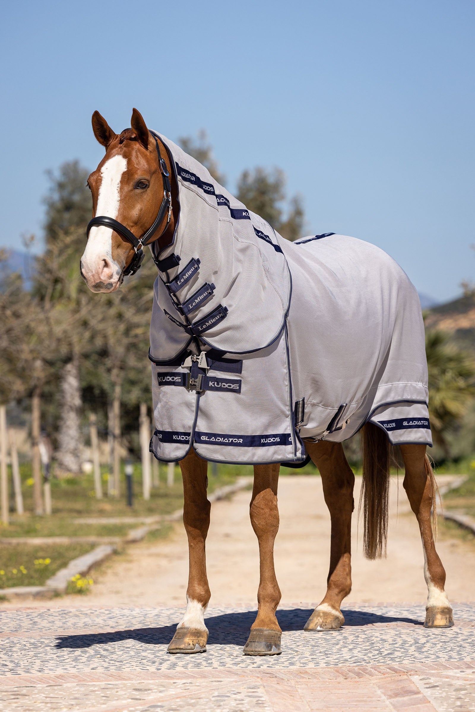 LeMieux Kudos Gladiator Fly Rug Horse Rugs