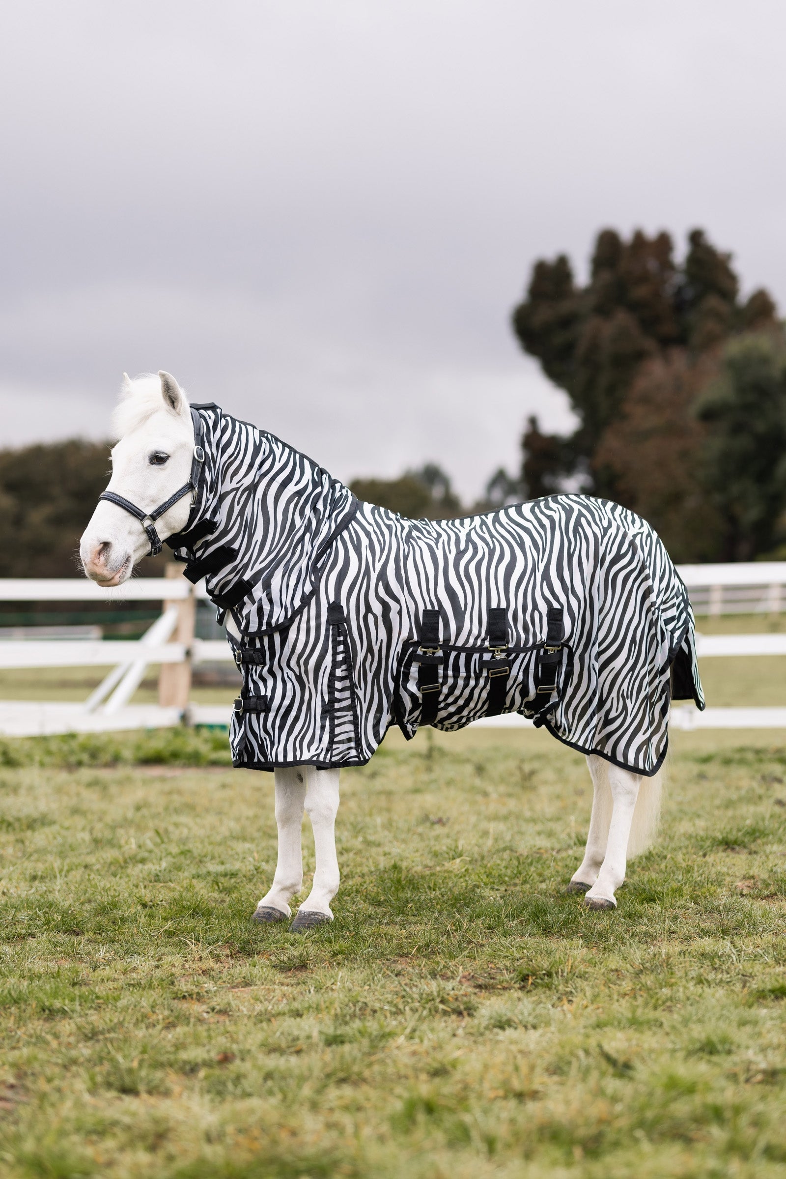 Horze Defender Pony Fly Rug Horse Rugs