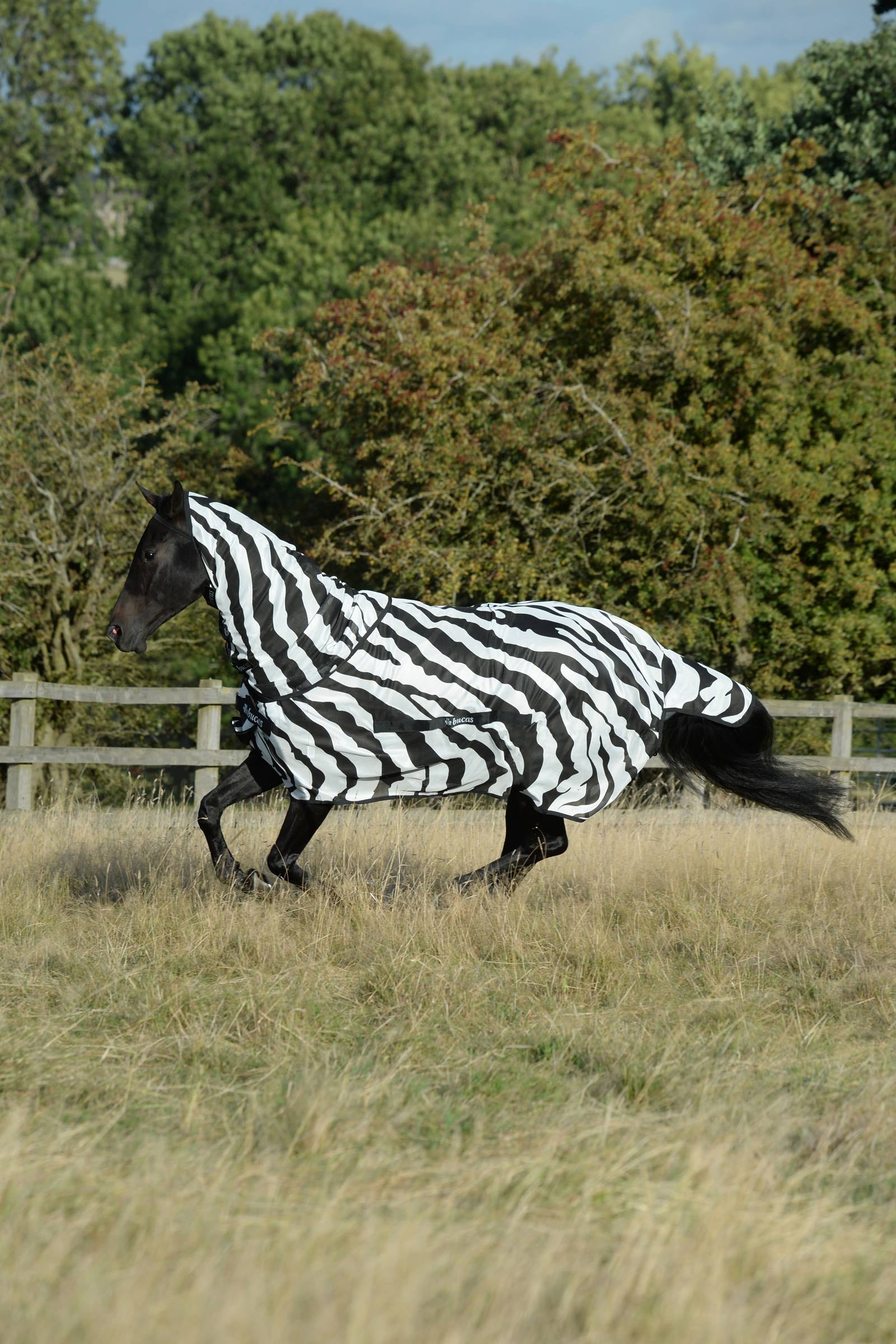 Bucas Buzz-Off Zebra Fly Rug with Detachable Full Neck Horse Rugs