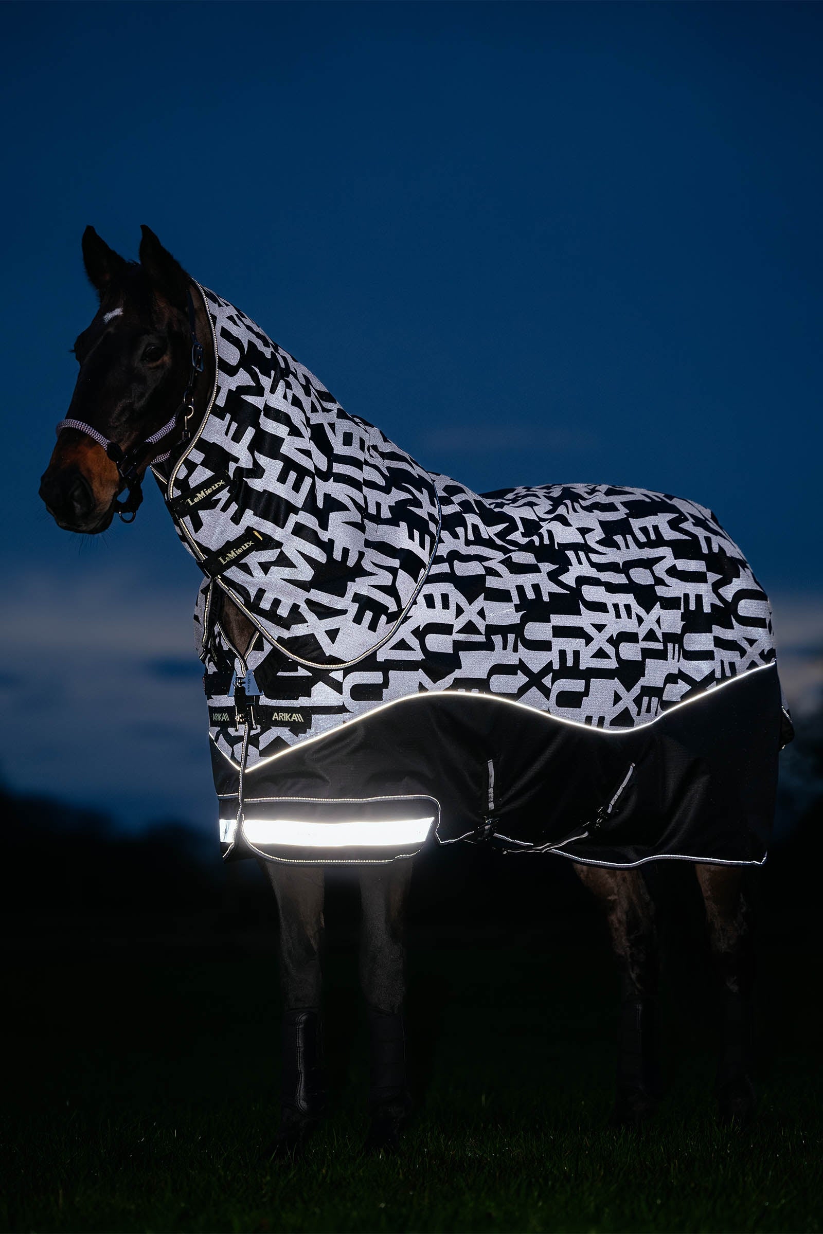 LeMieux Arika Reflective Turnout Rug With Detachable Neck, 100 g Hästtäcken
