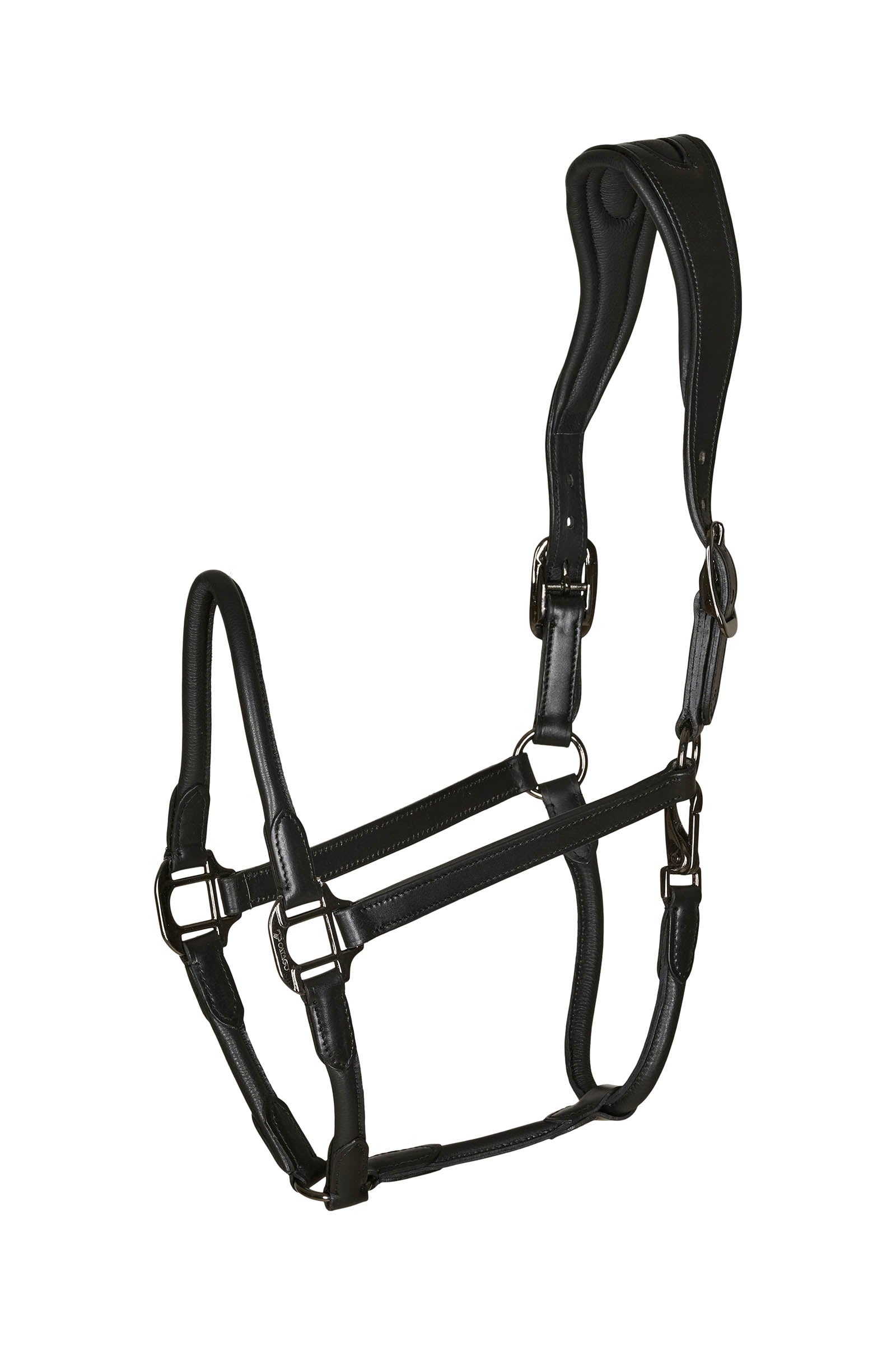 Catago leather halter with round-stitched noseband Grimma & grimskaft