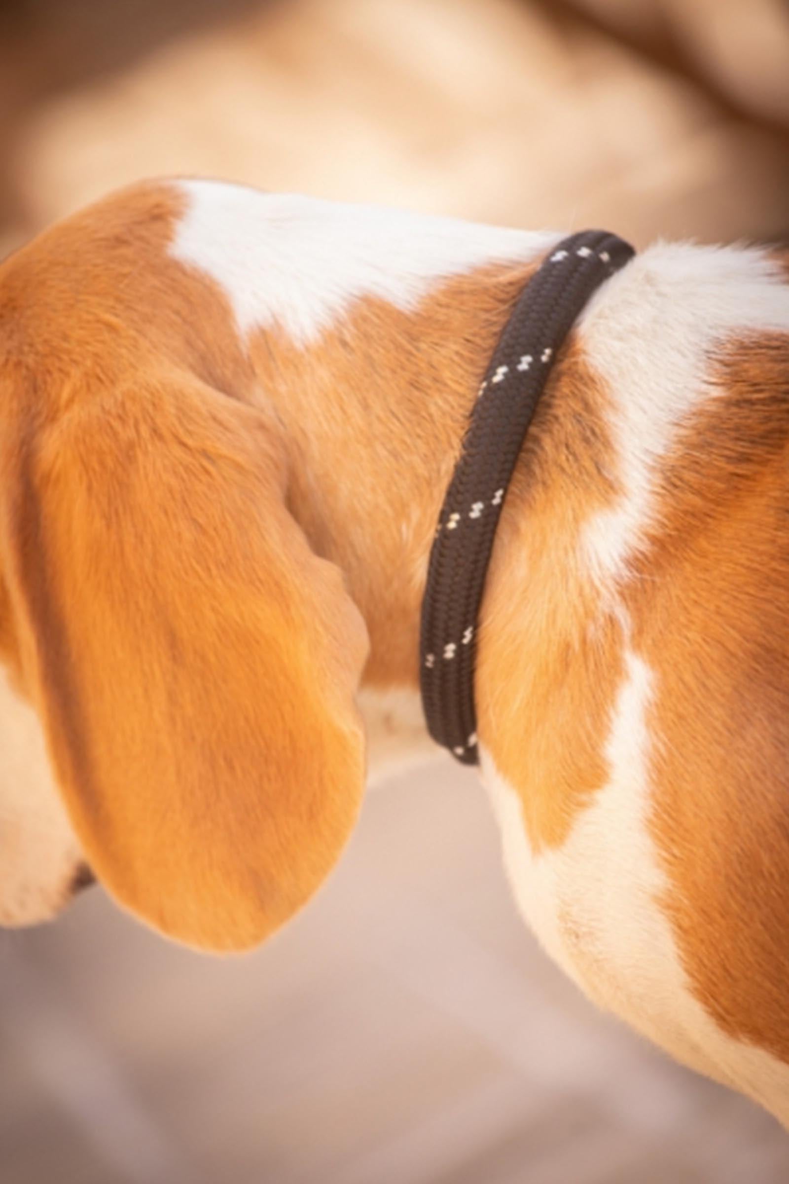 PENELOPE Billie Dog Collar Dog Accesories