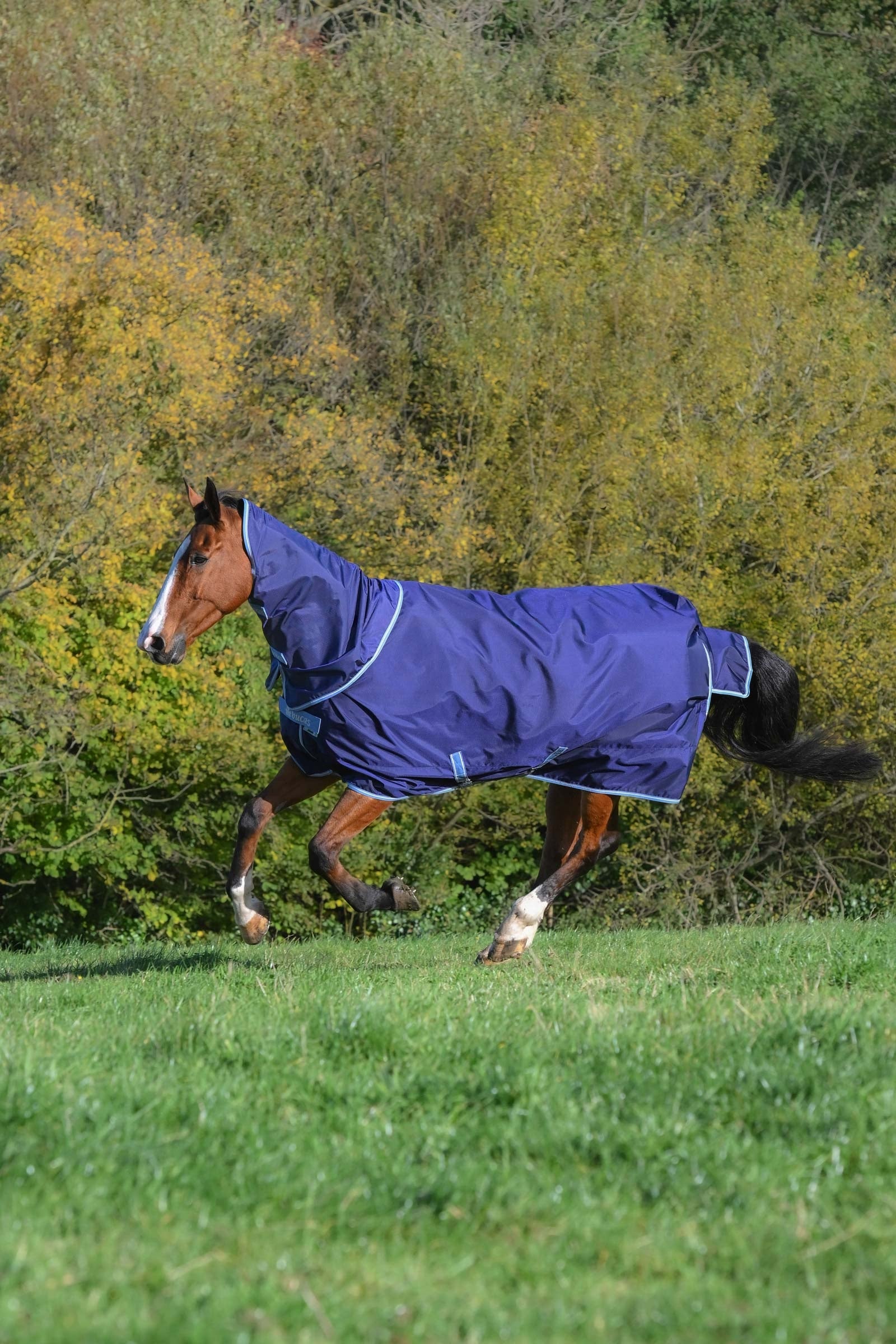 Bucas Atlantic Exclusive Rug & Neck, 150 g Hästtäcken