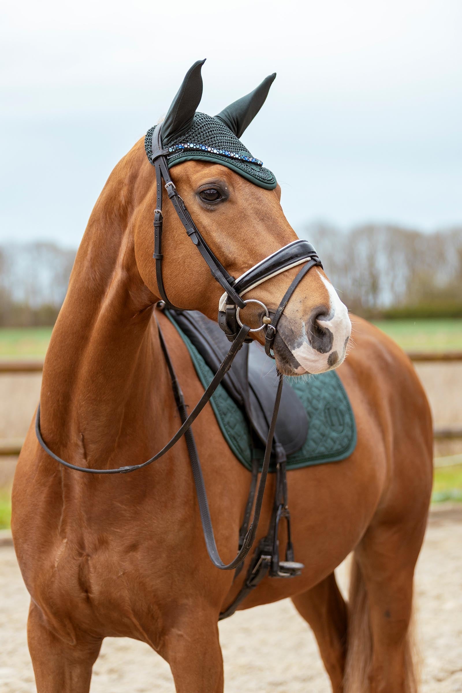 Harcour Fablir Horse Fly Veil Antifly Protection for Horses