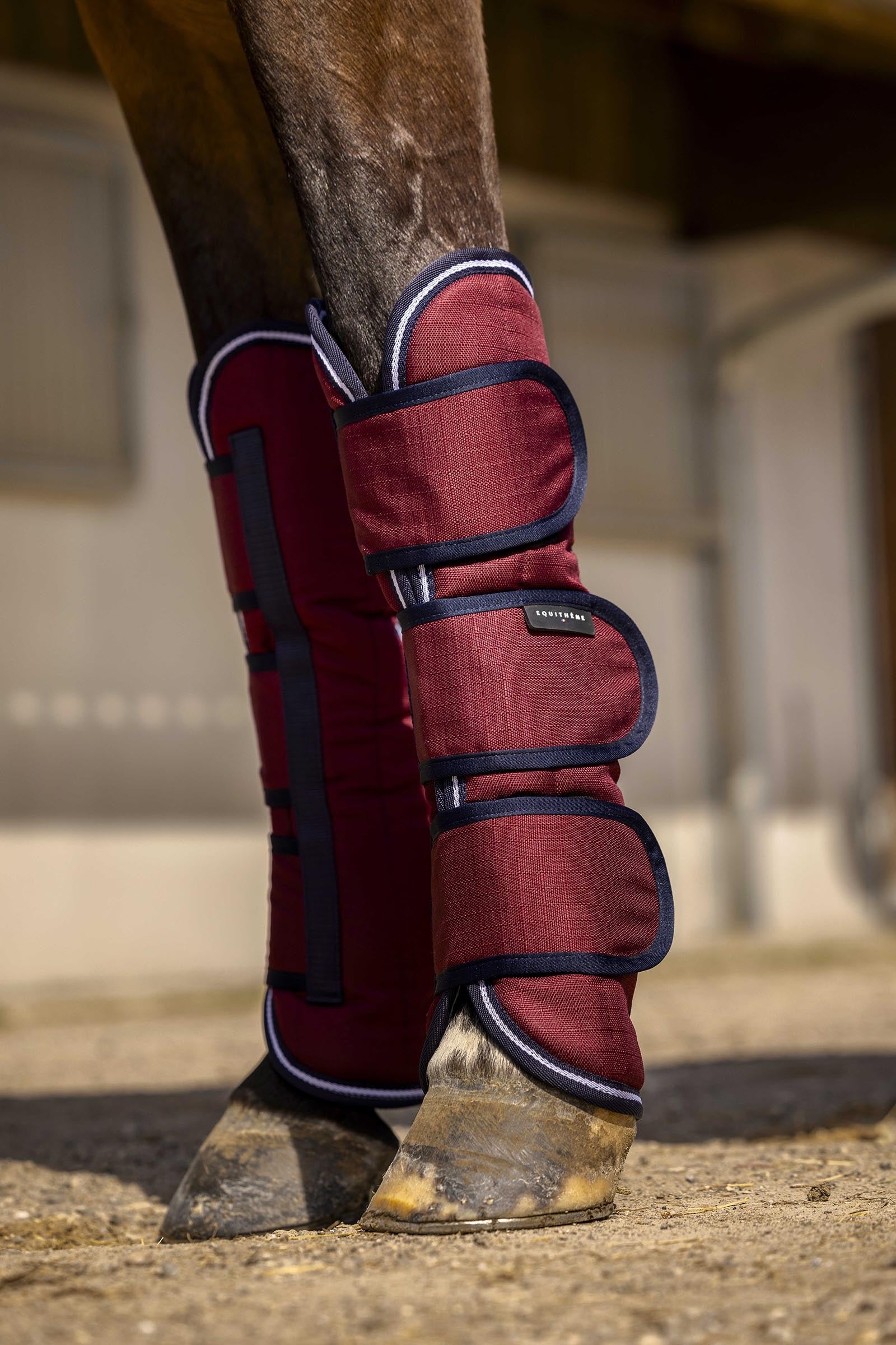 Equi Theme EQUITHÈME TYREX Aisance 1200D transportskydd Leg & Hoof Protection