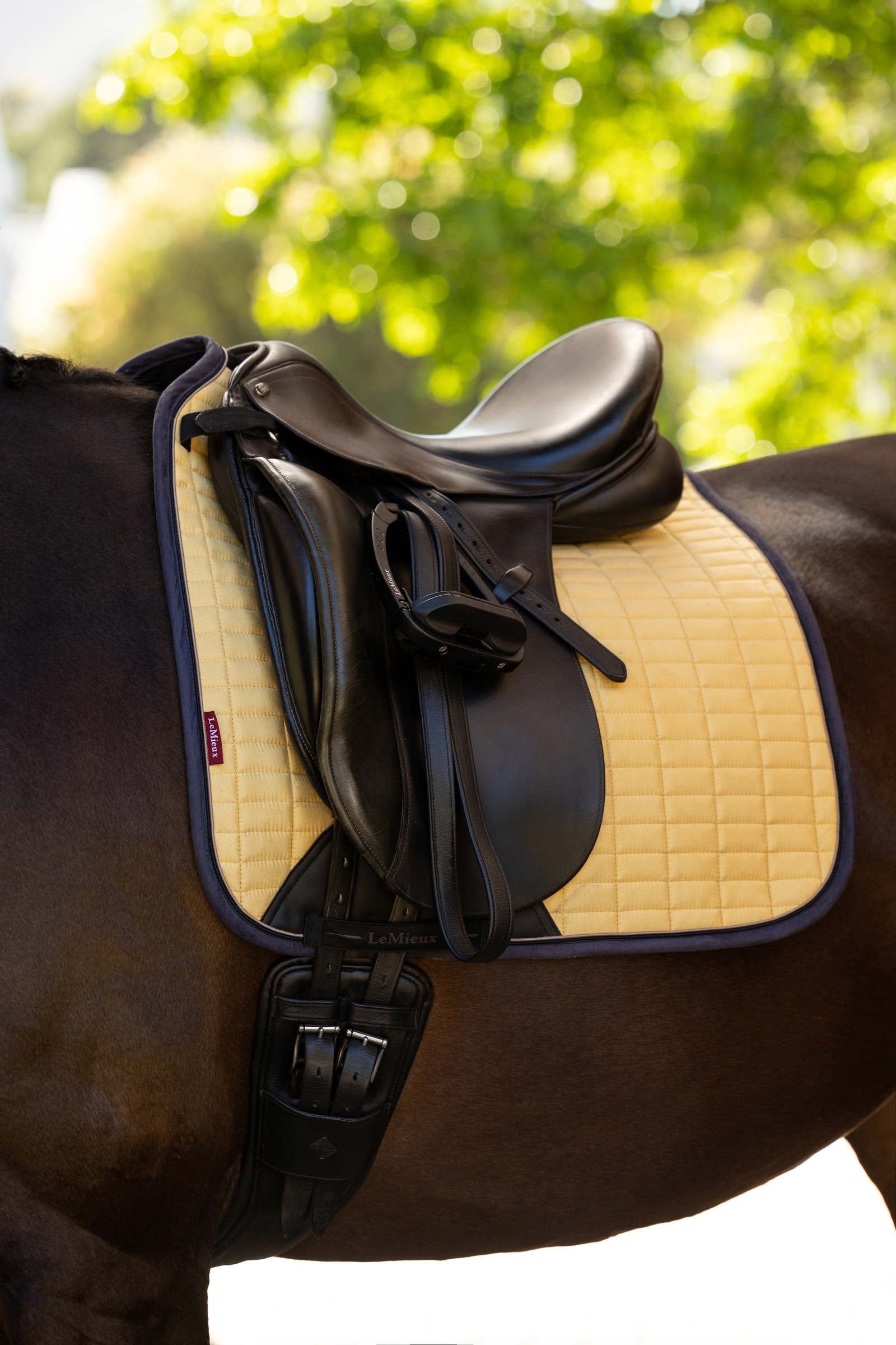 LeMieux Suede Square Dressage Saddle Pad Saddle Pads