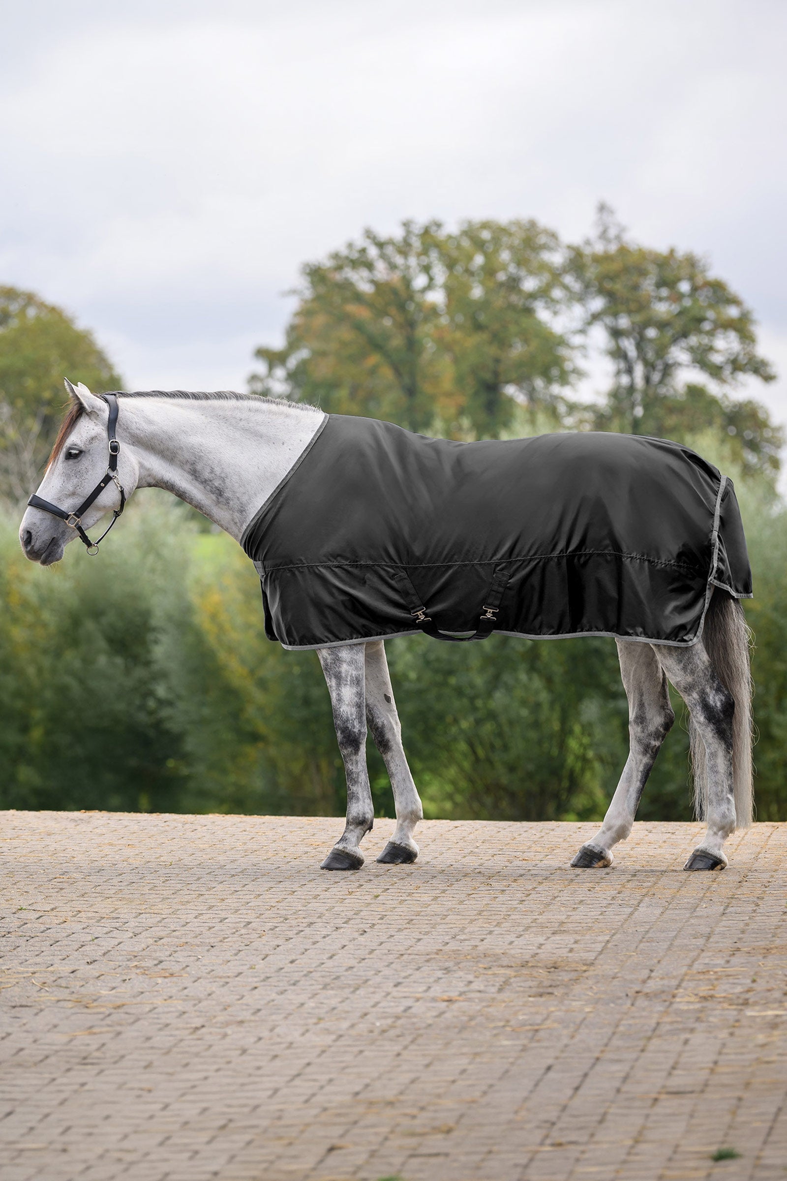 Waldhausen ECONOMIC Rain Rug Horse Rugs