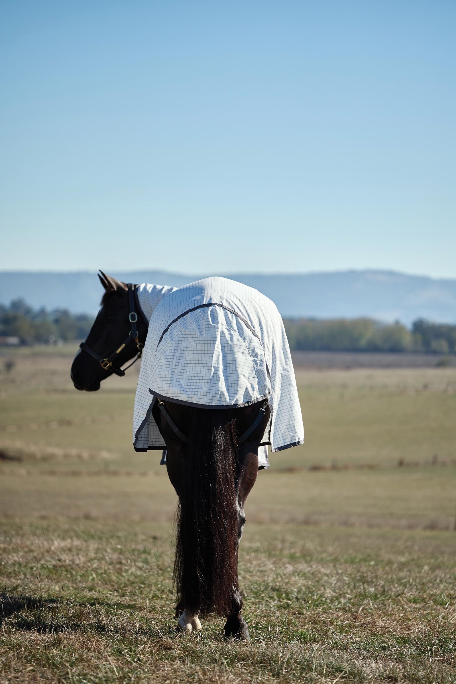 Weatherbeeta Hybrid Sheet Combo W. Fixed Neck, 0g Horse Rugs