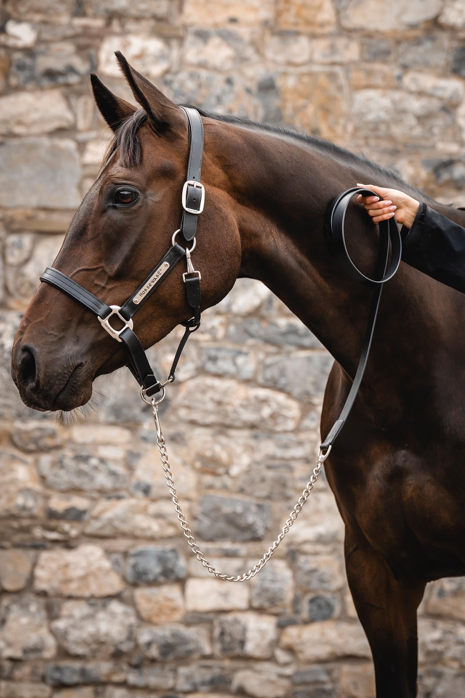 Horseware Signature Lead with Chain Halters & Leads