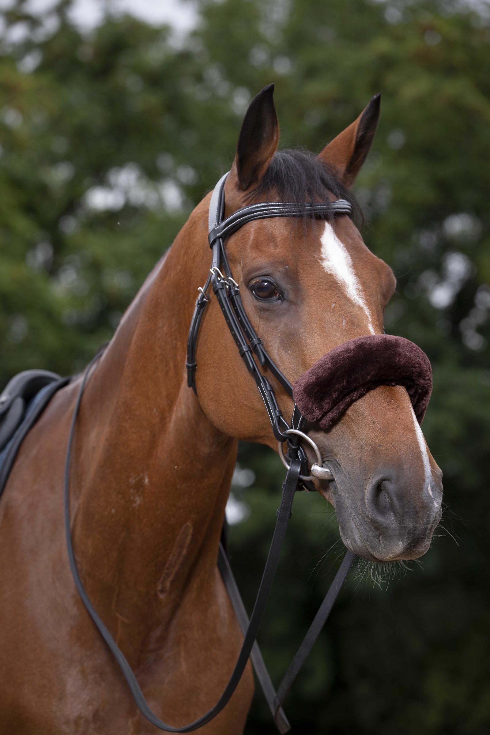 Equi Theme EQUITHÈME Teddy Noseband Sleeve Bridles & Reins