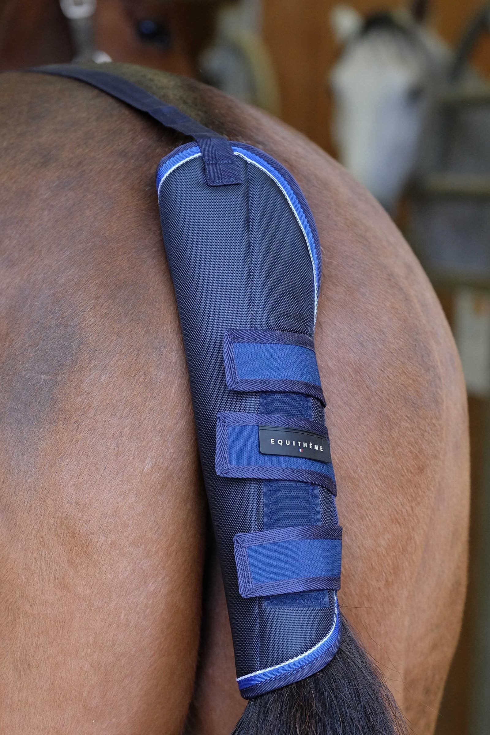 EQUITHÈME TYREX 1680D svansskydd Leg & Hoof Protection