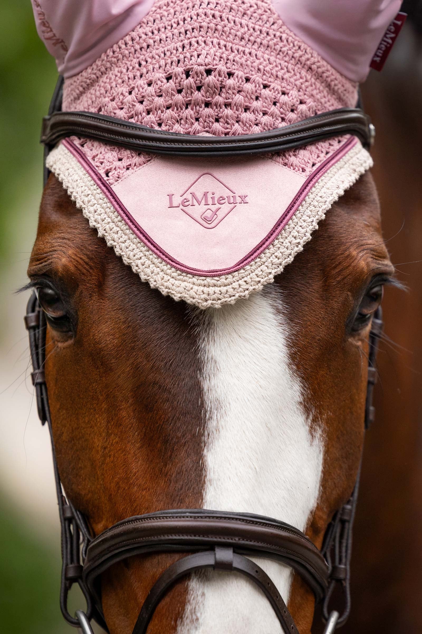 LeMieux Classic Fly Hood Saddle Pads