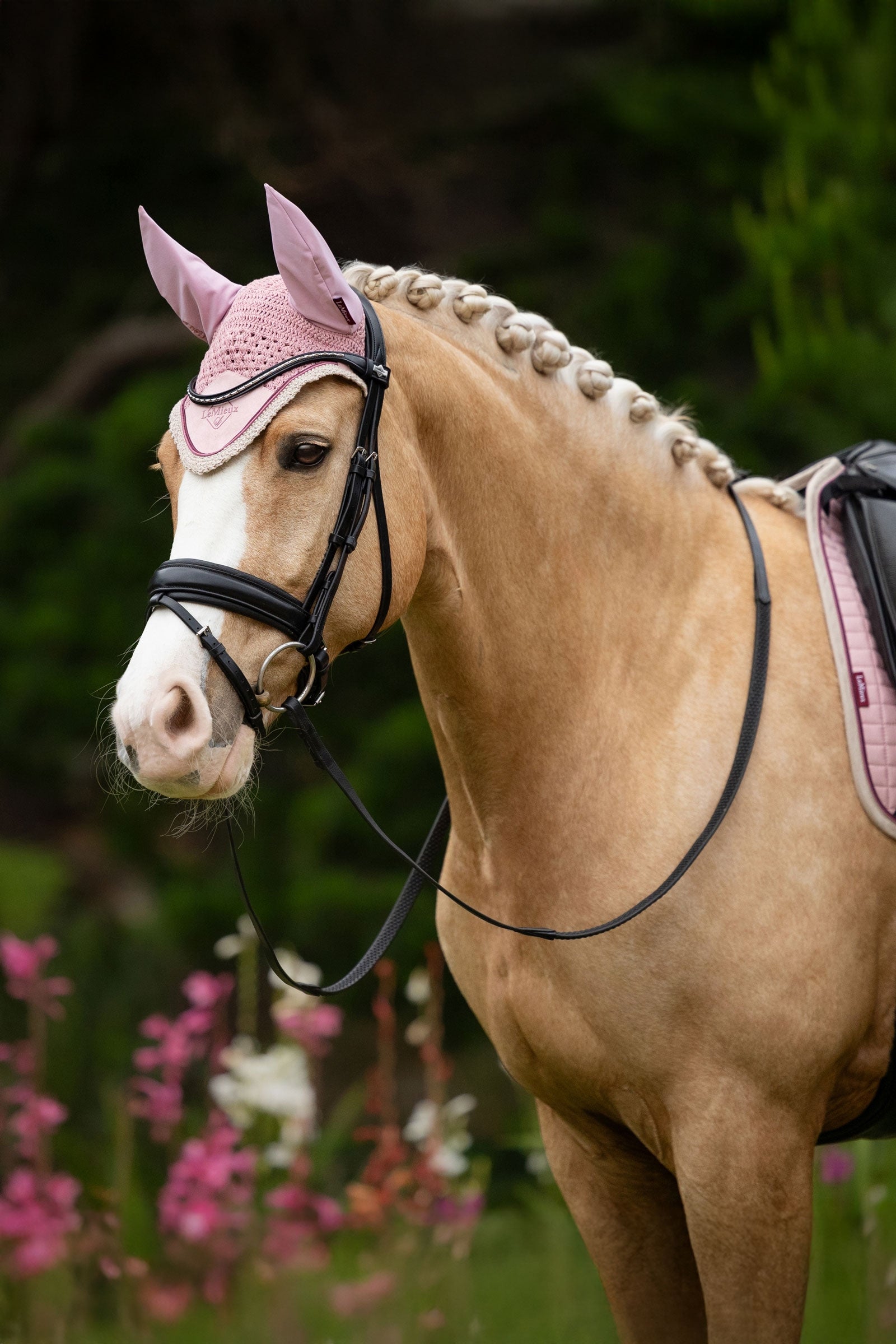 LeMieux Classic Fly Hood Saddle Pads