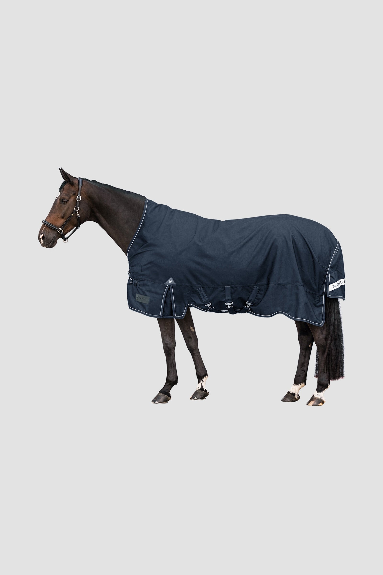 Waldhausen Outdoor Rug Scandic High Neck Light Hästtäcken