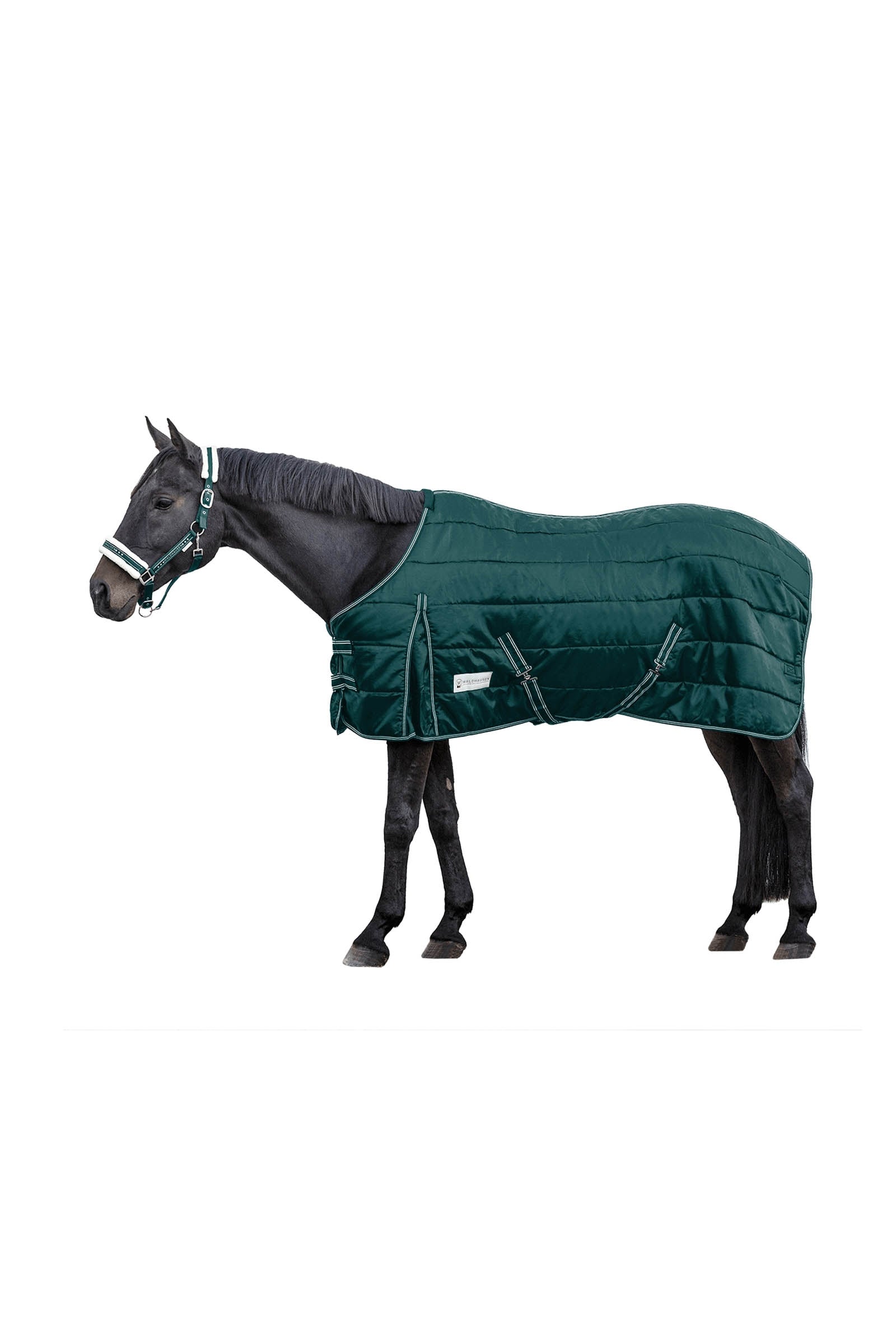 Waldhausen Stable rug Economic 200 g Hästtäcken