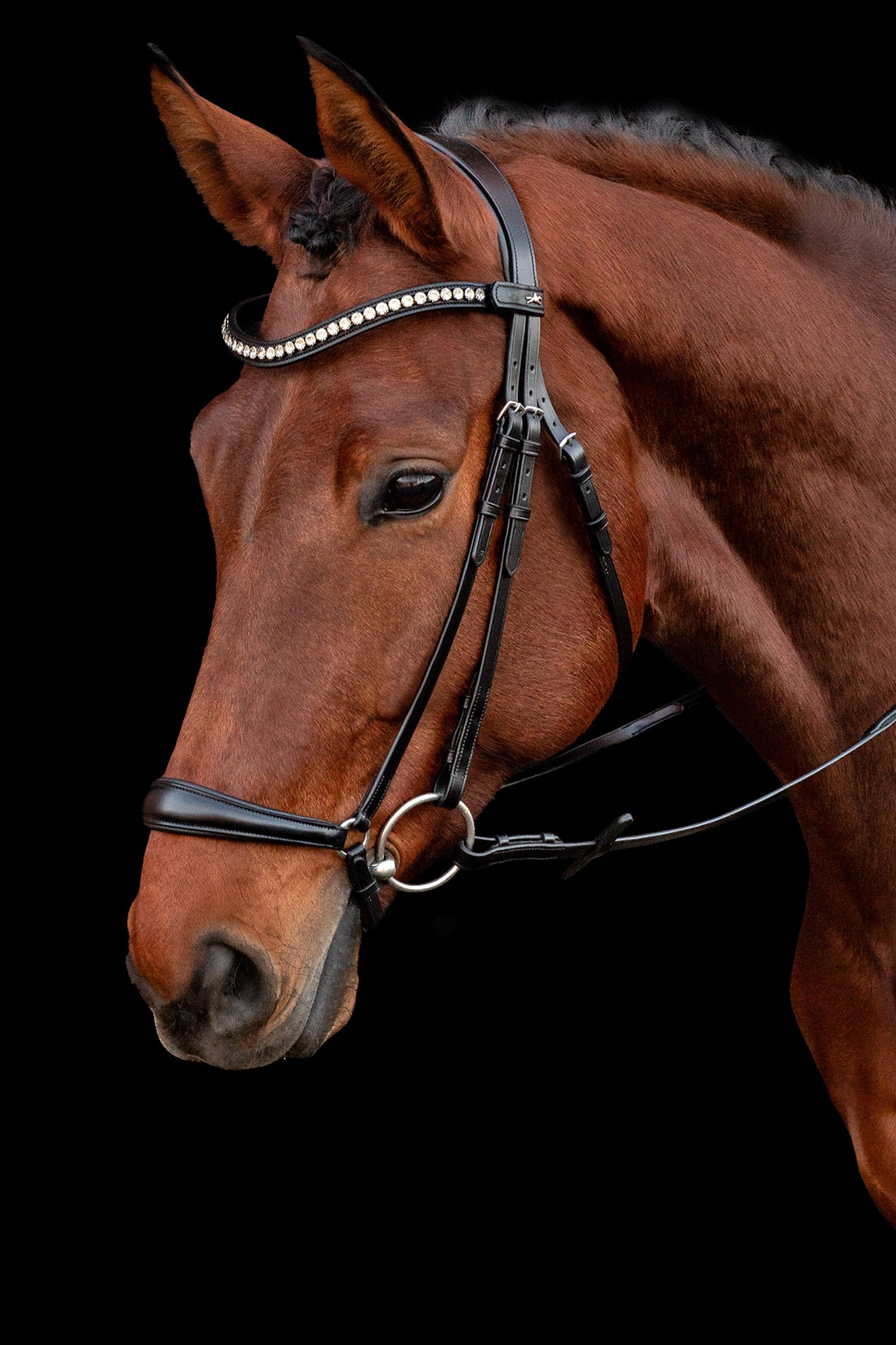 Schockemöhle Sports Pisa Bridle Bridles & Reins