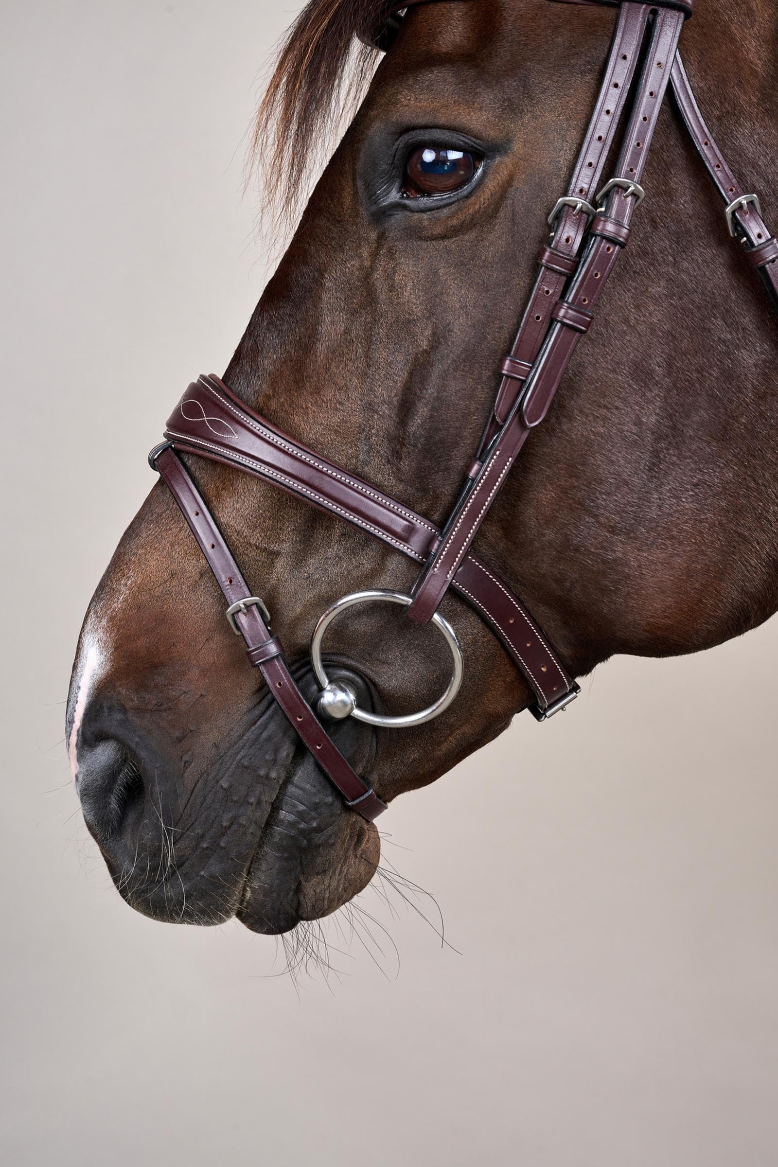 Dy'on US-Collection Anatomic Flash Noseband Bridle Bridles & Reins