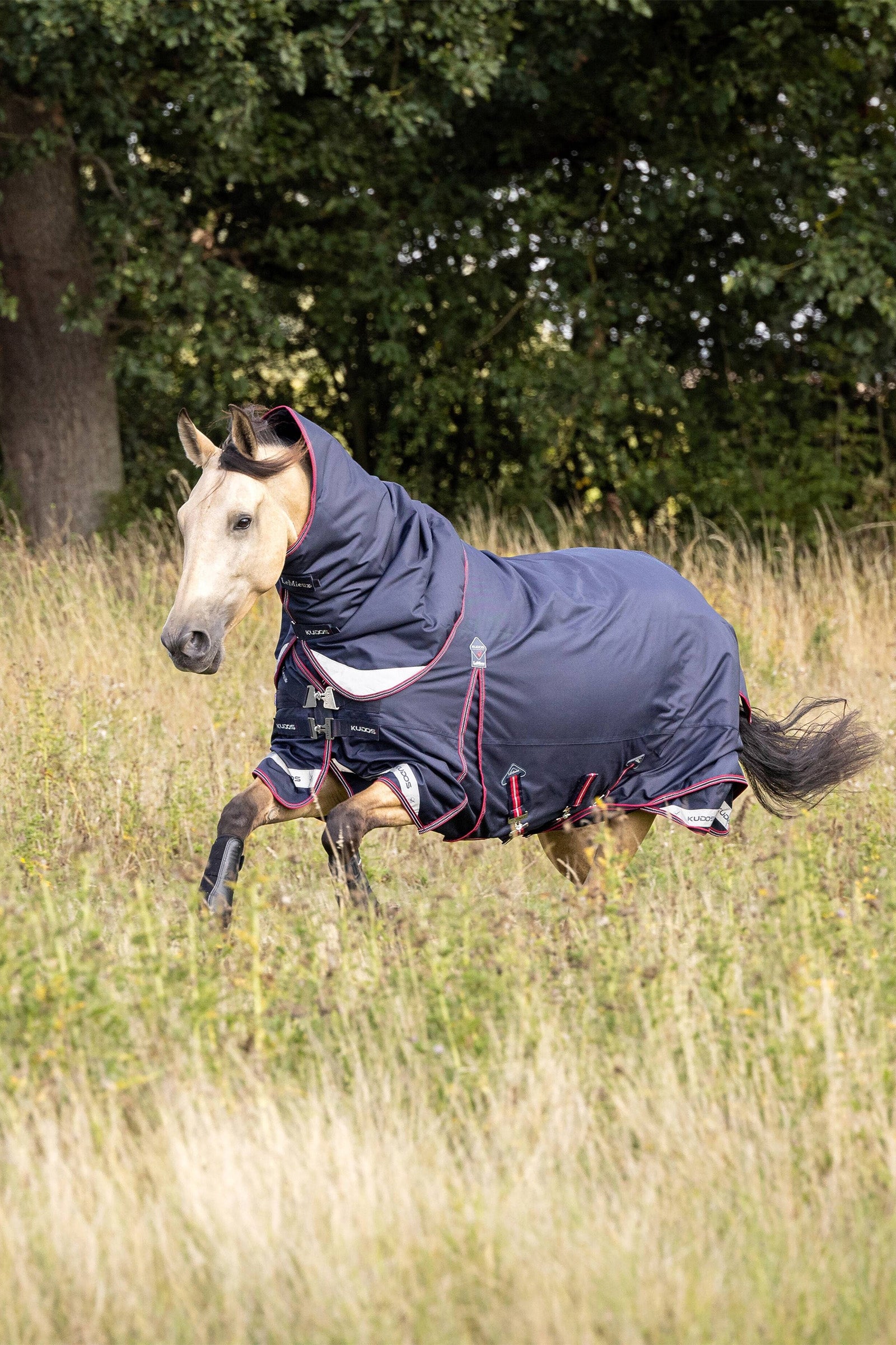 LeMieux Kudos Lightweight Turnout Rug, 50 g Horse Rugs