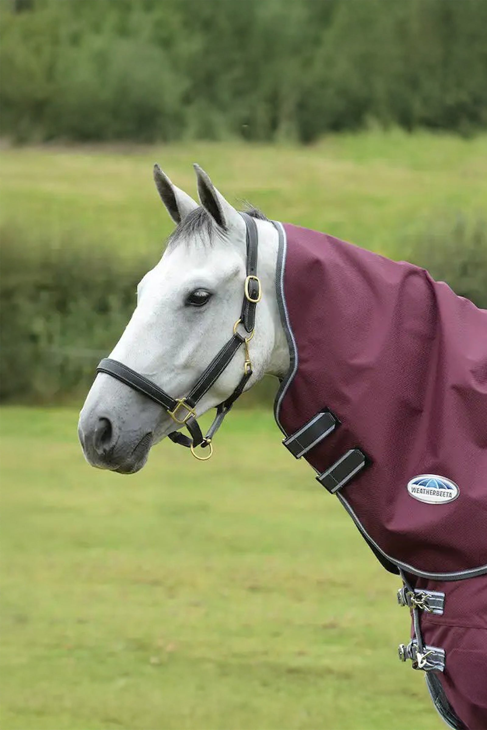 Weatherbeeta Comfitec Plus Dynamic II Medium/Lite halstäcke, 100g Hästtäcken