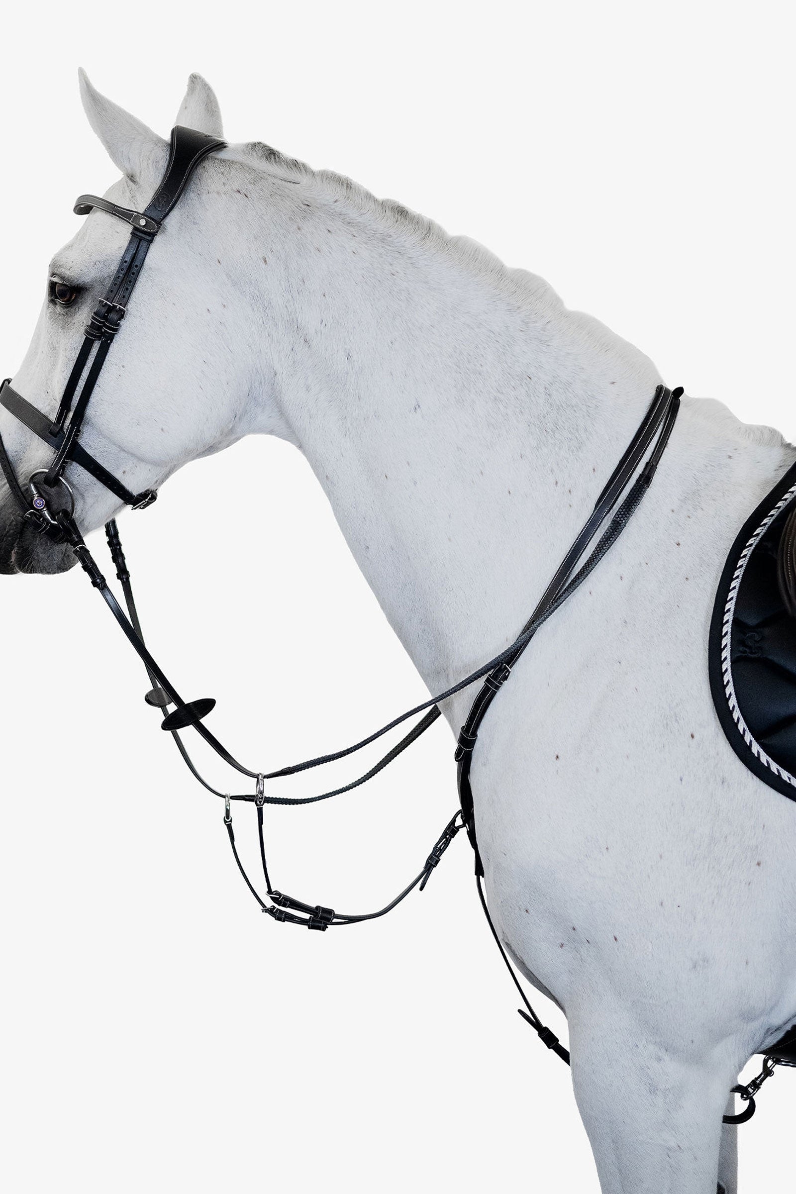 PS of Sweden Seoul Martingale Bridles & Reins