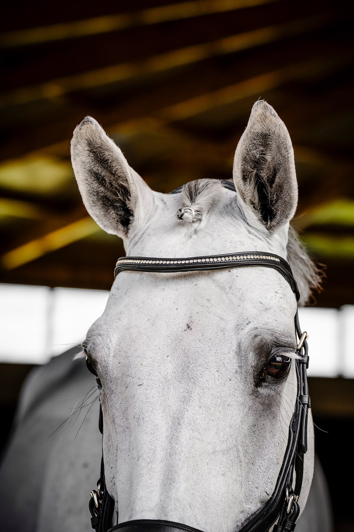 Horseware Diamante Competition Micklem Bridles & Reins