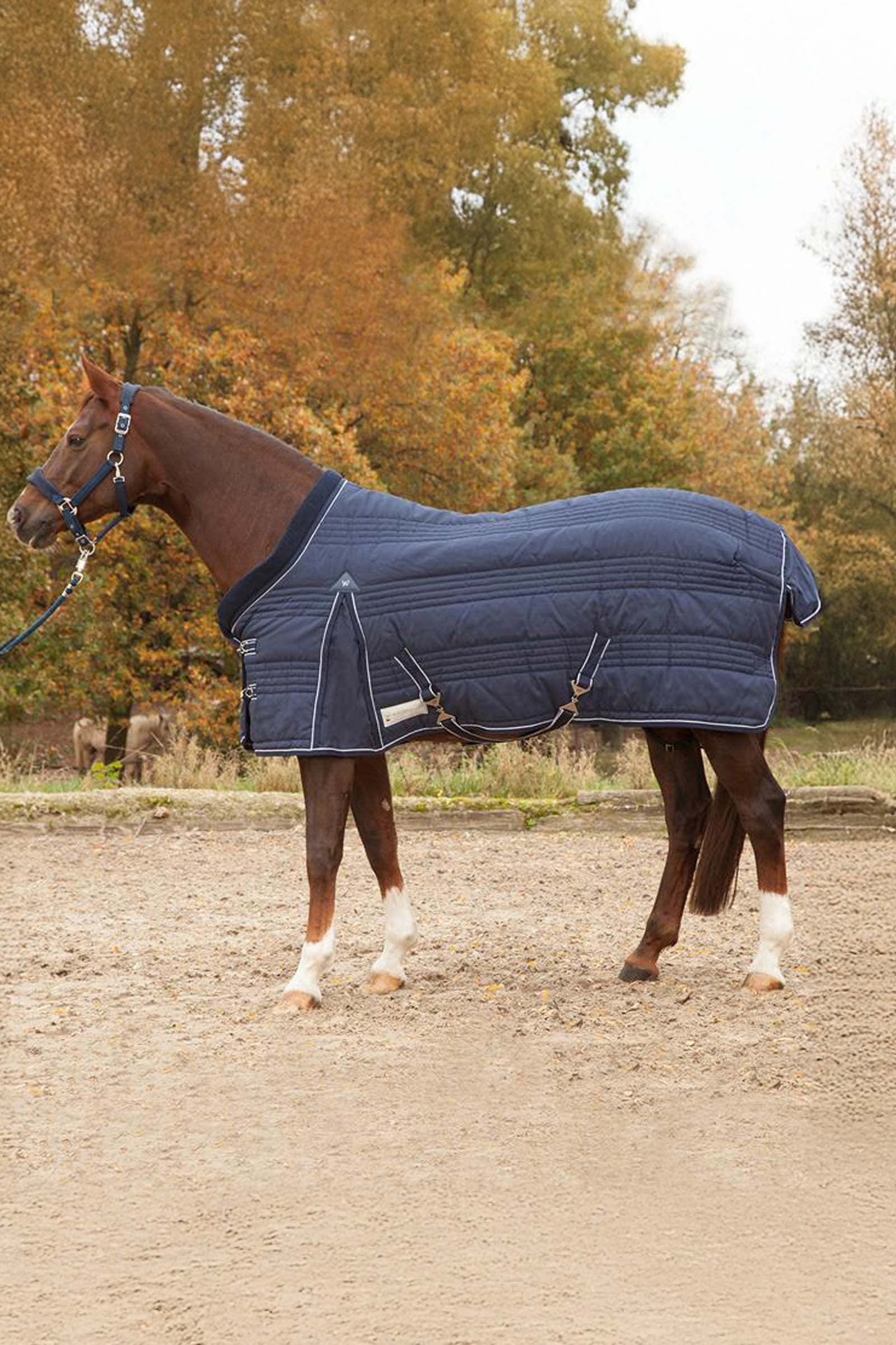 Waldhausen Stable Rug Comfort Line 100g Hästtäcken