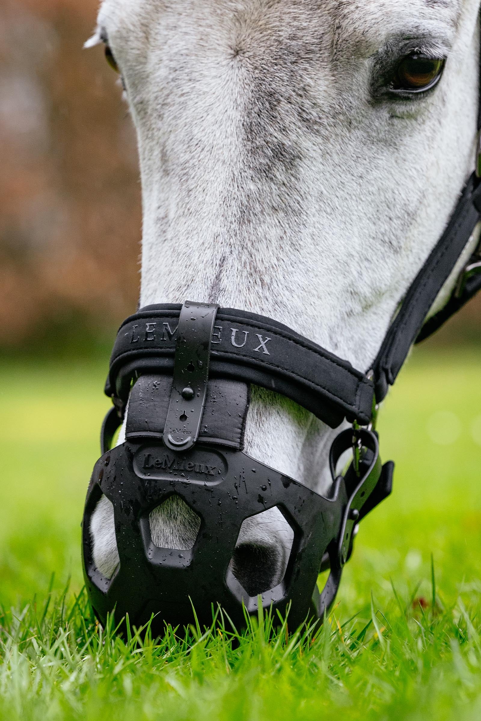LeMieux Noma Grazing Muzzle Halters & Leads