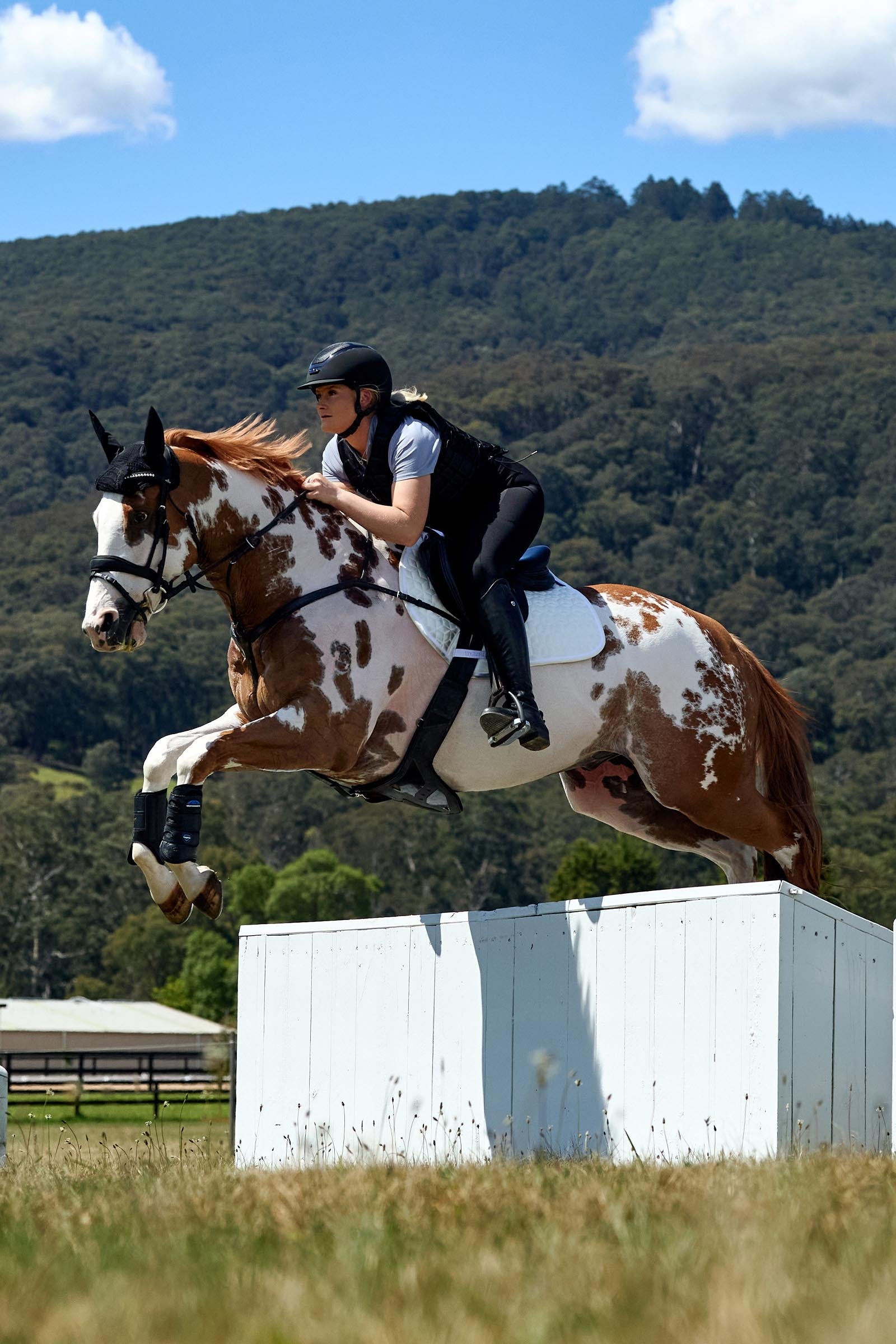 Weatherbeeta Suede Elite Air-Tec Jump Shaped Saddle Pad Saddle Pads