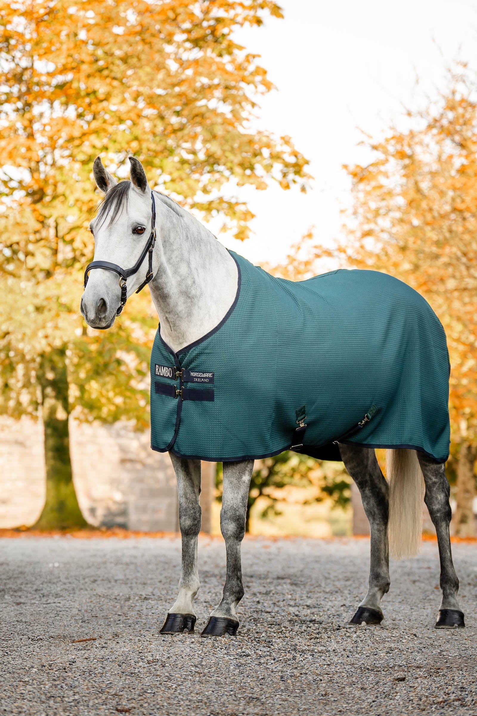 Horseware Rambo Techni Waffle Cooler Horse Rugs