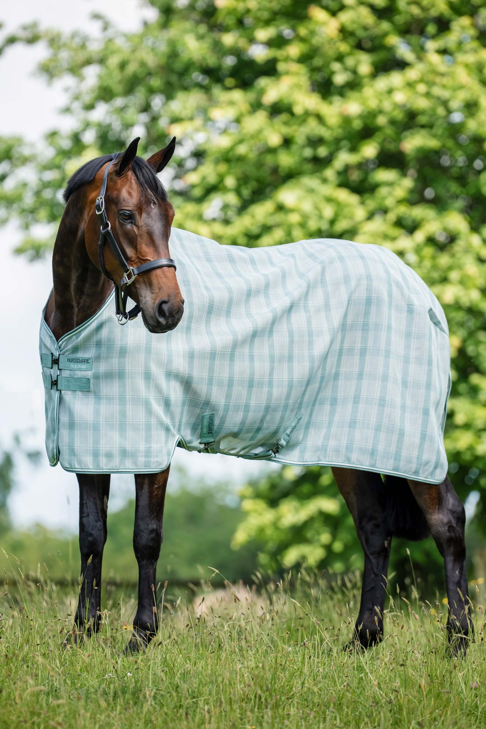 Horseware Newmarket flugtäcke med UV-skydd Hästtäcken