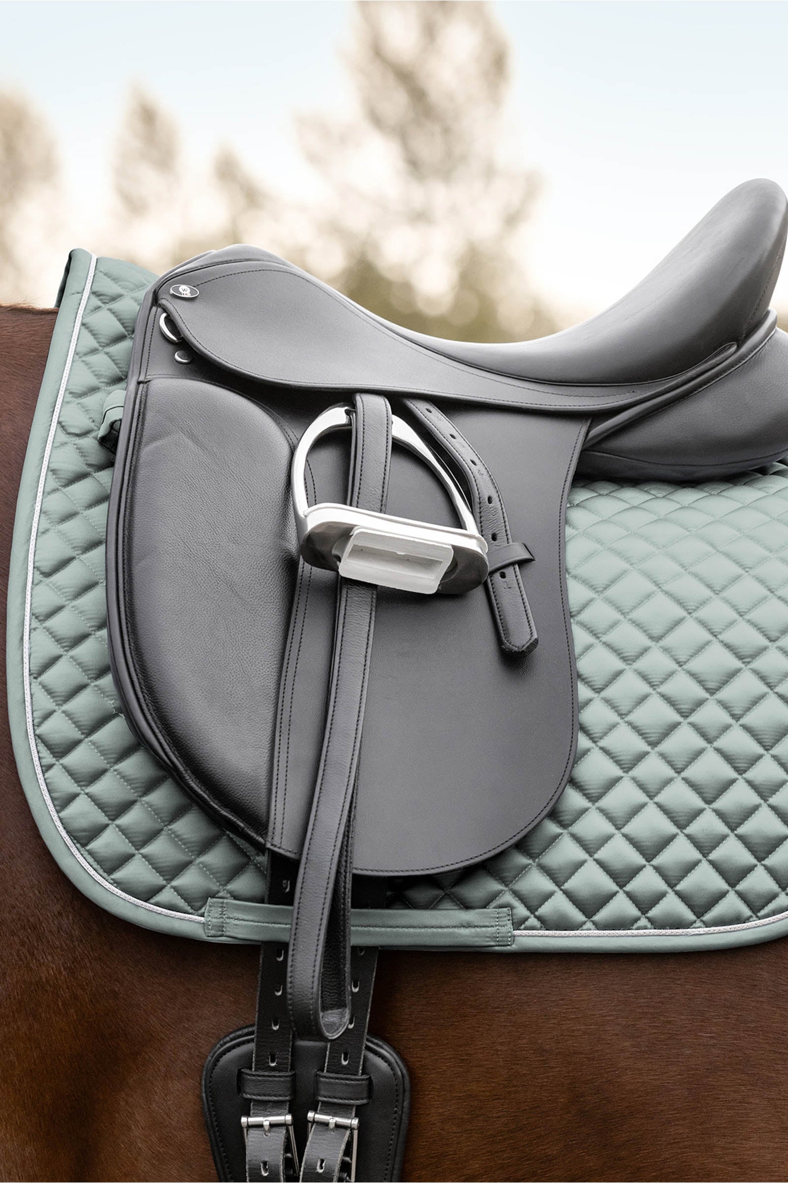 Waldhausen Felix Glam Dressage Saddle Pad Schabrak