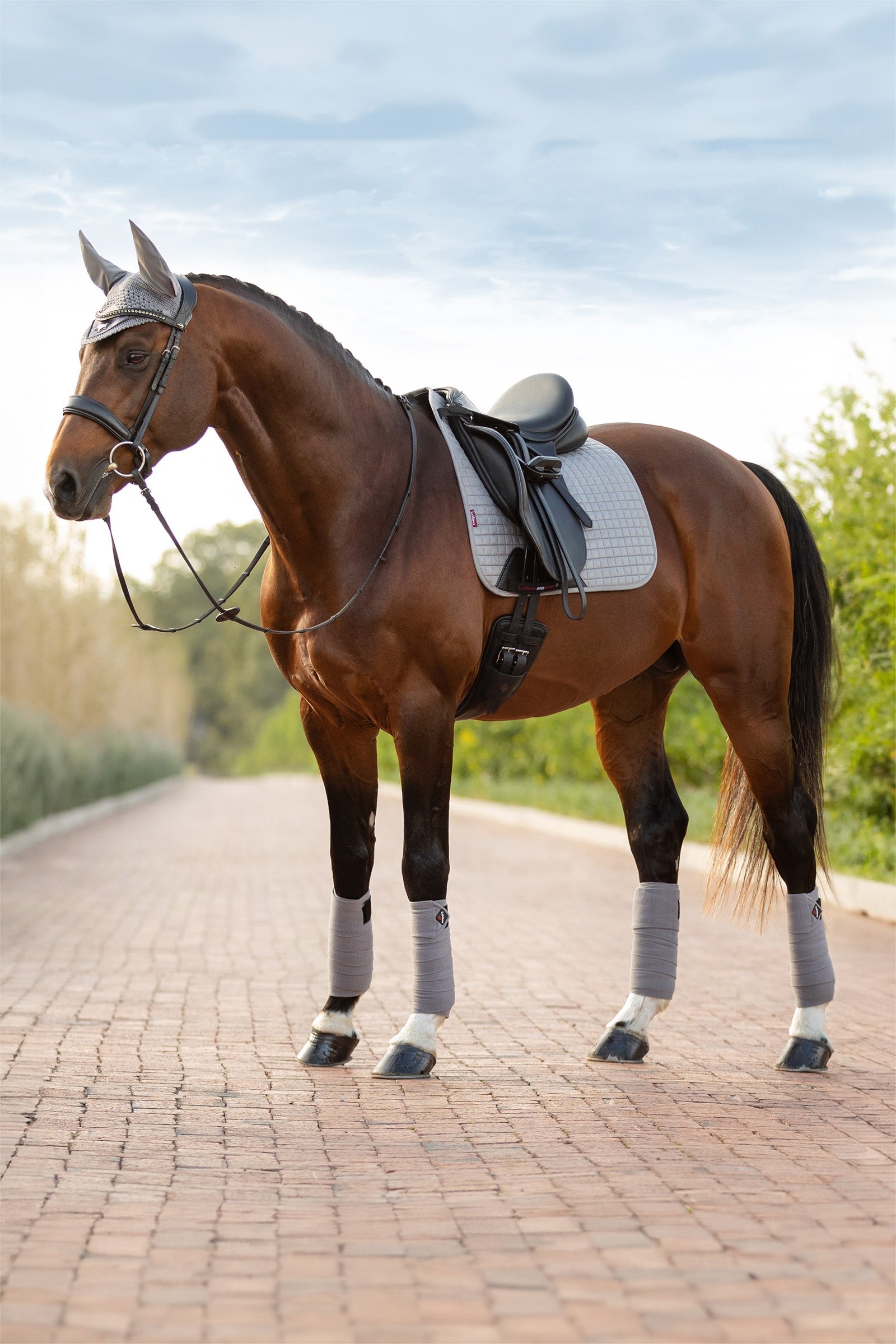 LeMieux Suede dressyrschabrak Schabrak