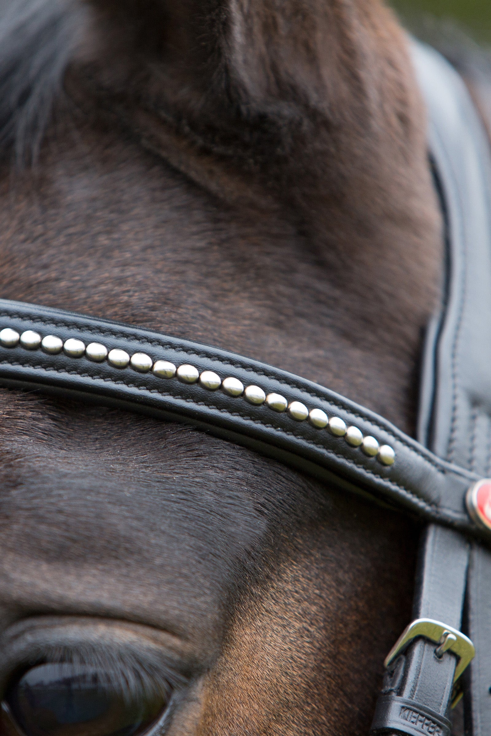 Kieffer Ultrasoft® Bridle Bridles & Reins