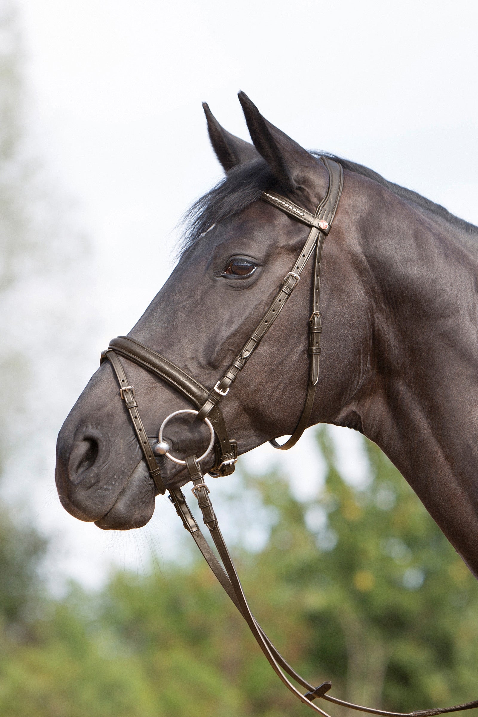 Kieffer Ultrasoft® Bridle Träns & Tyglar