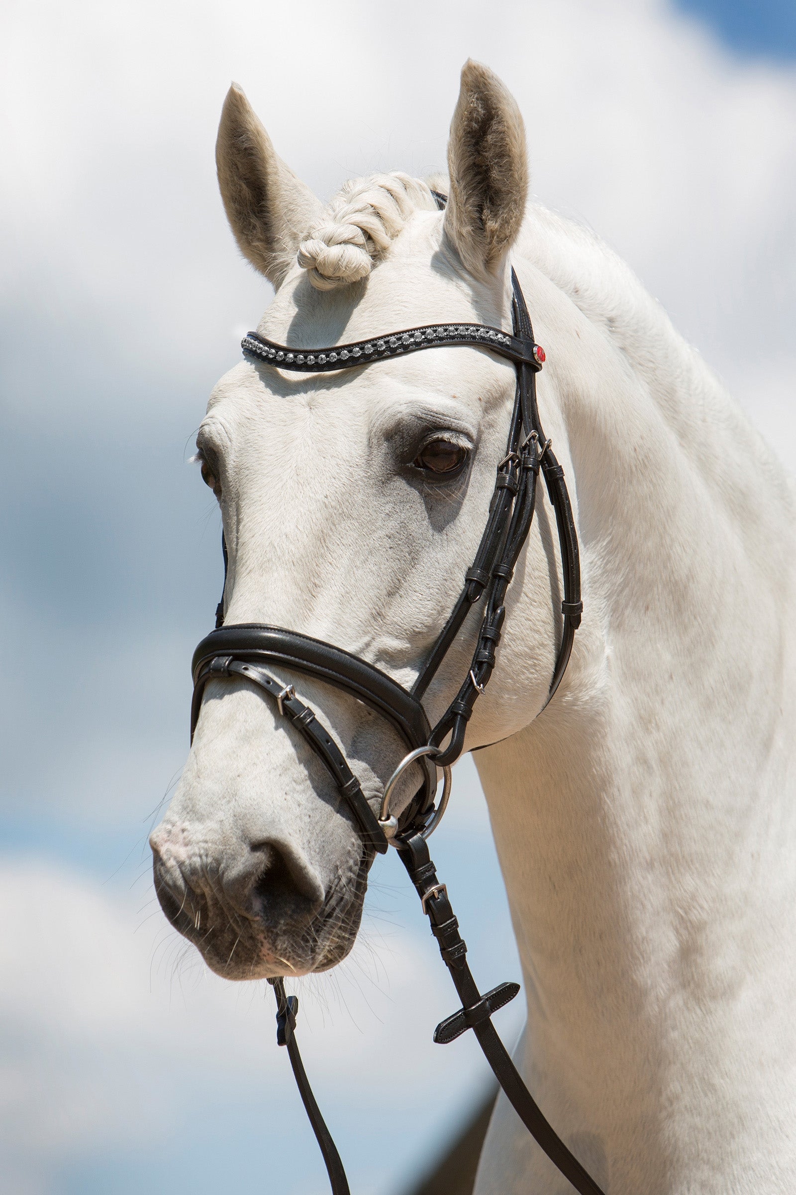 Kieffer Ultrasoft® Fashion Bridle Träns & Tyglar