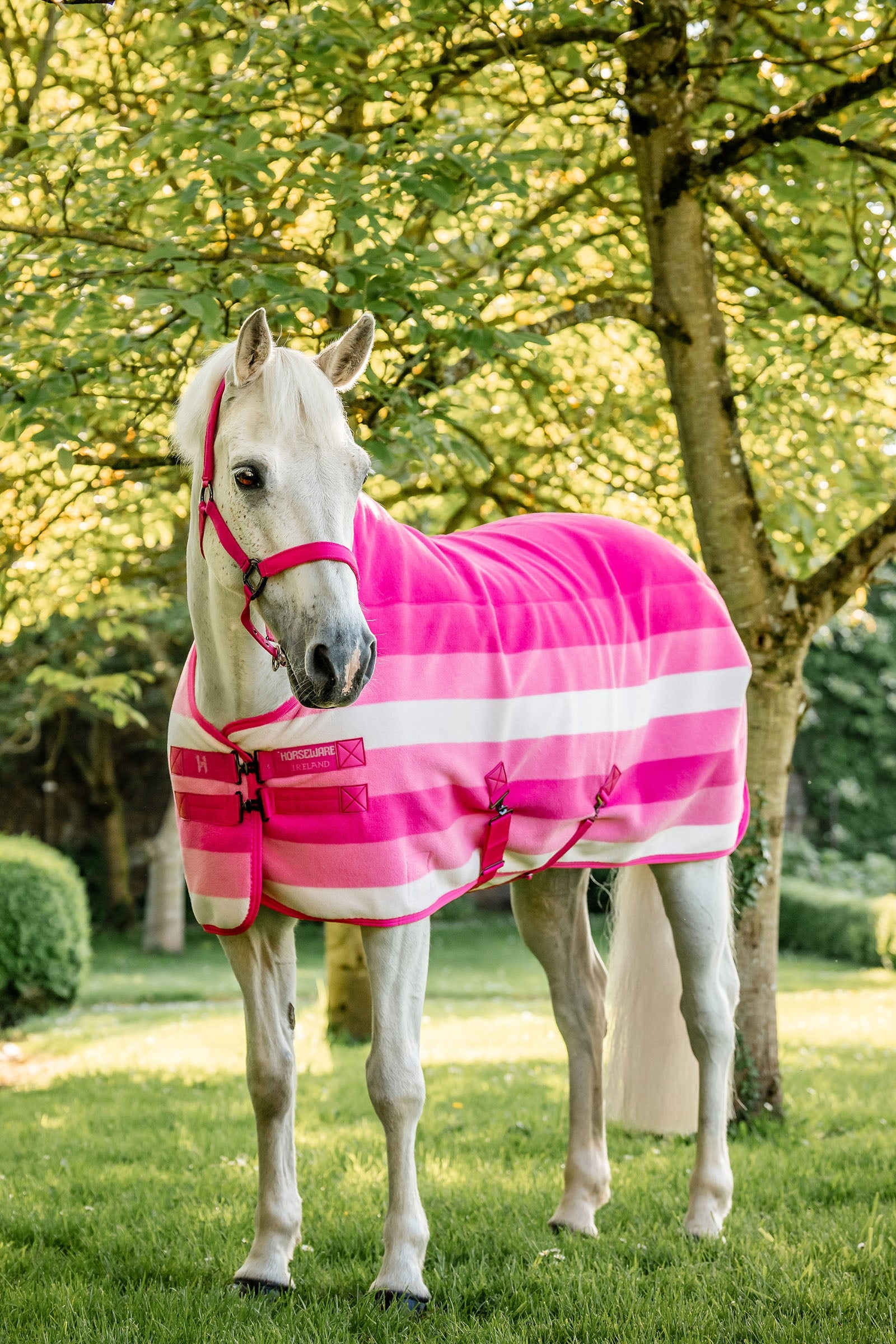 Horseware Newmarket Pony Fleece Cooler Horse Rugs