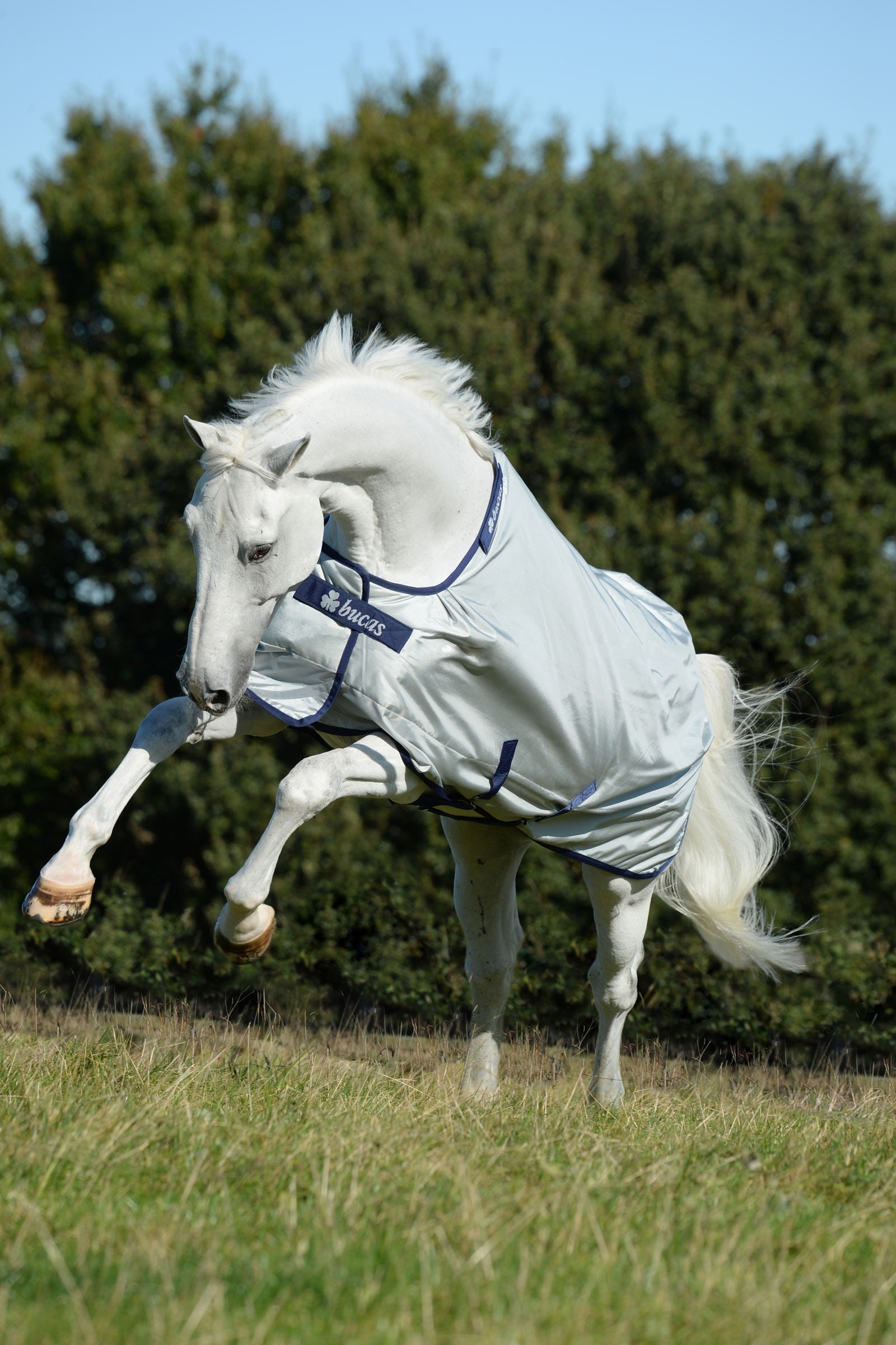 Bucas Power utetäcke med bred halsöppning, 0g Hästtäcken