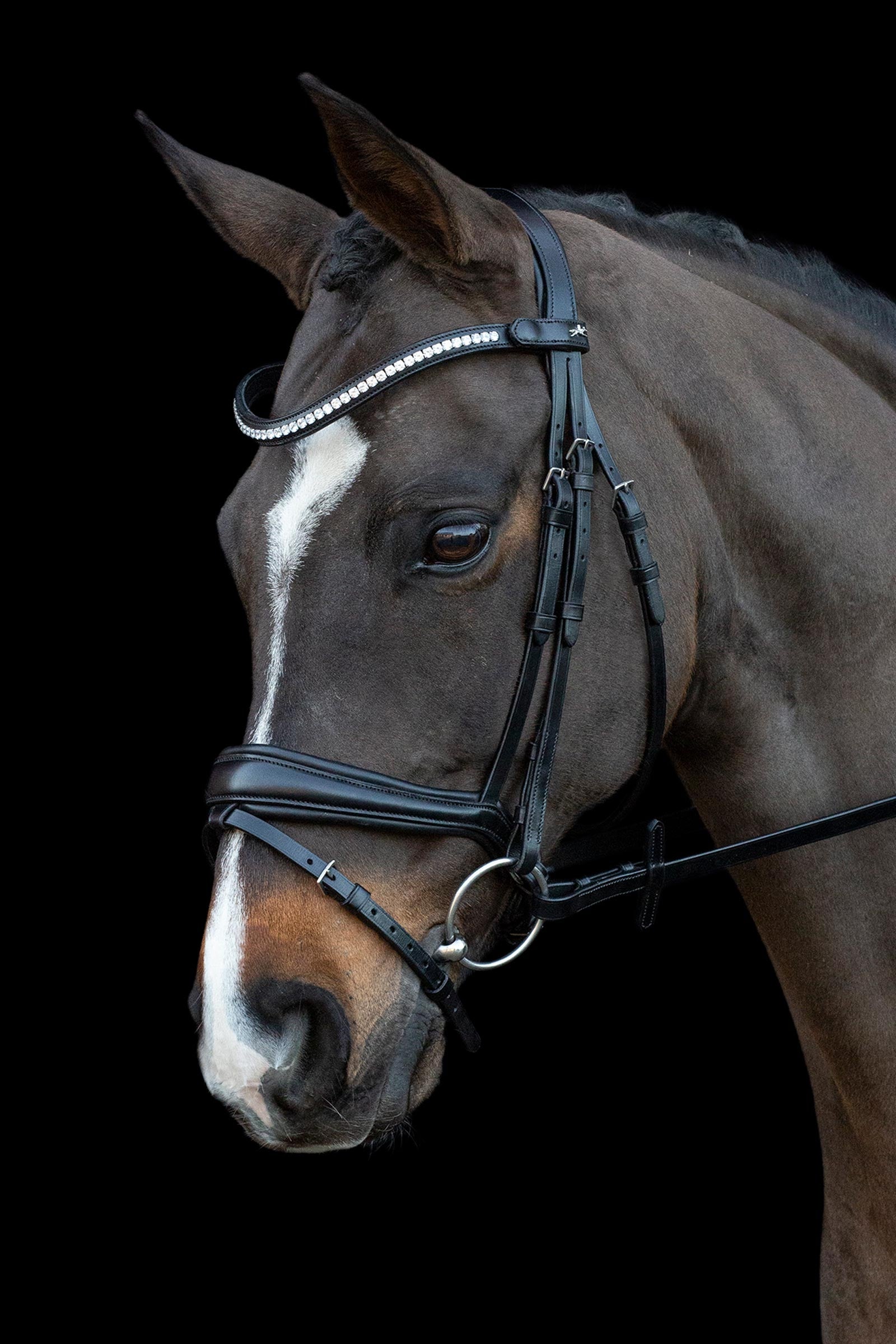 Schockemöhle Sports Charleston Bridle Bridles & Reins