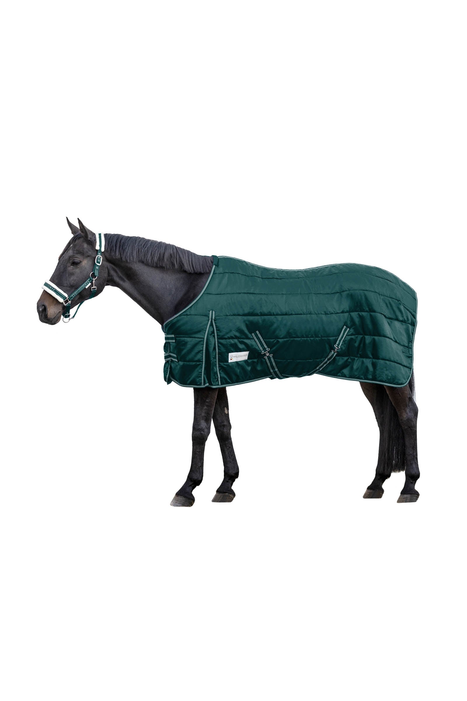 Waldhausen Stable Rug Economic 100 g Horse Rugs