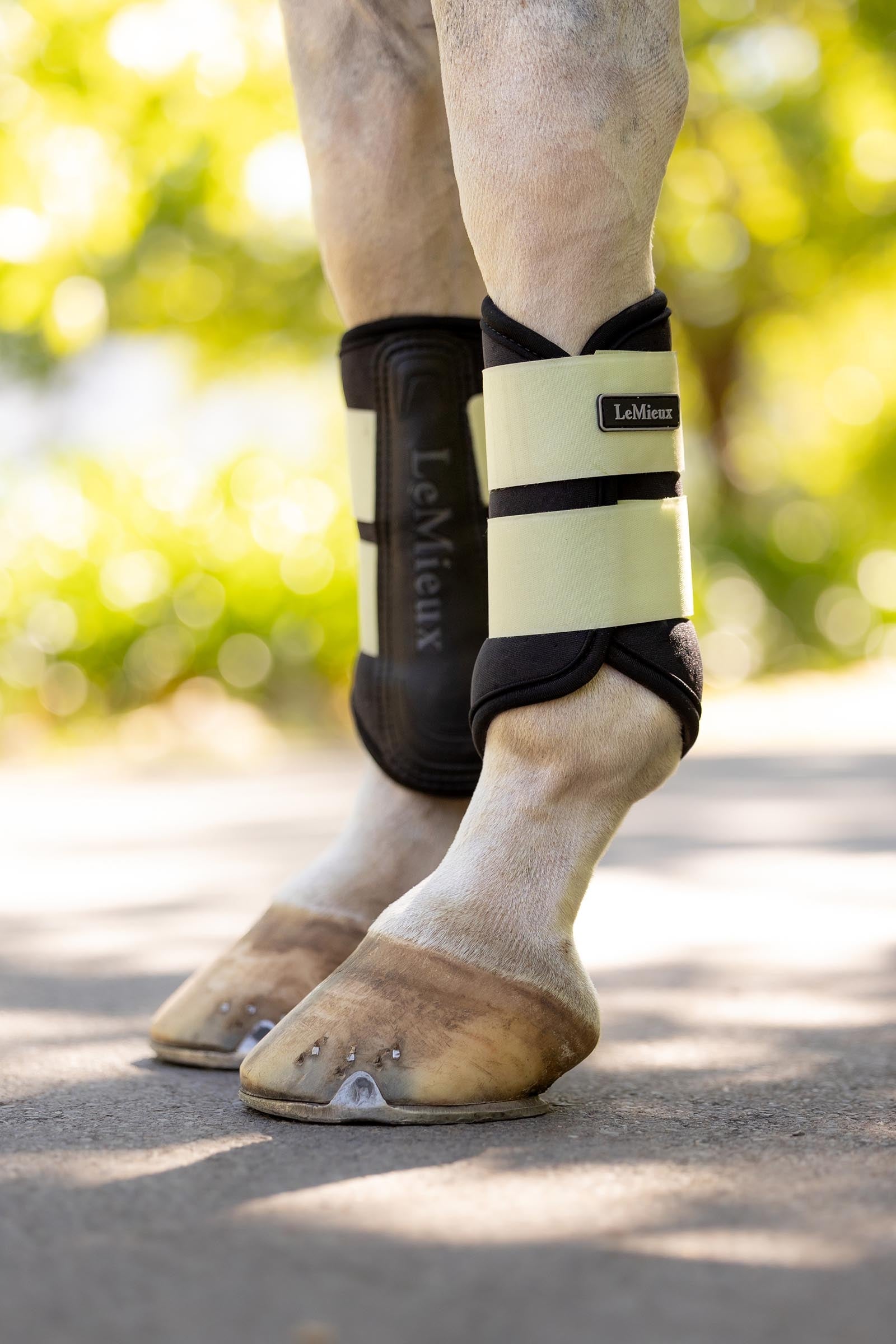 LeMieux Air-Tek Grafter Brushing Boots Leg Protection & Hoof Protection for Horses