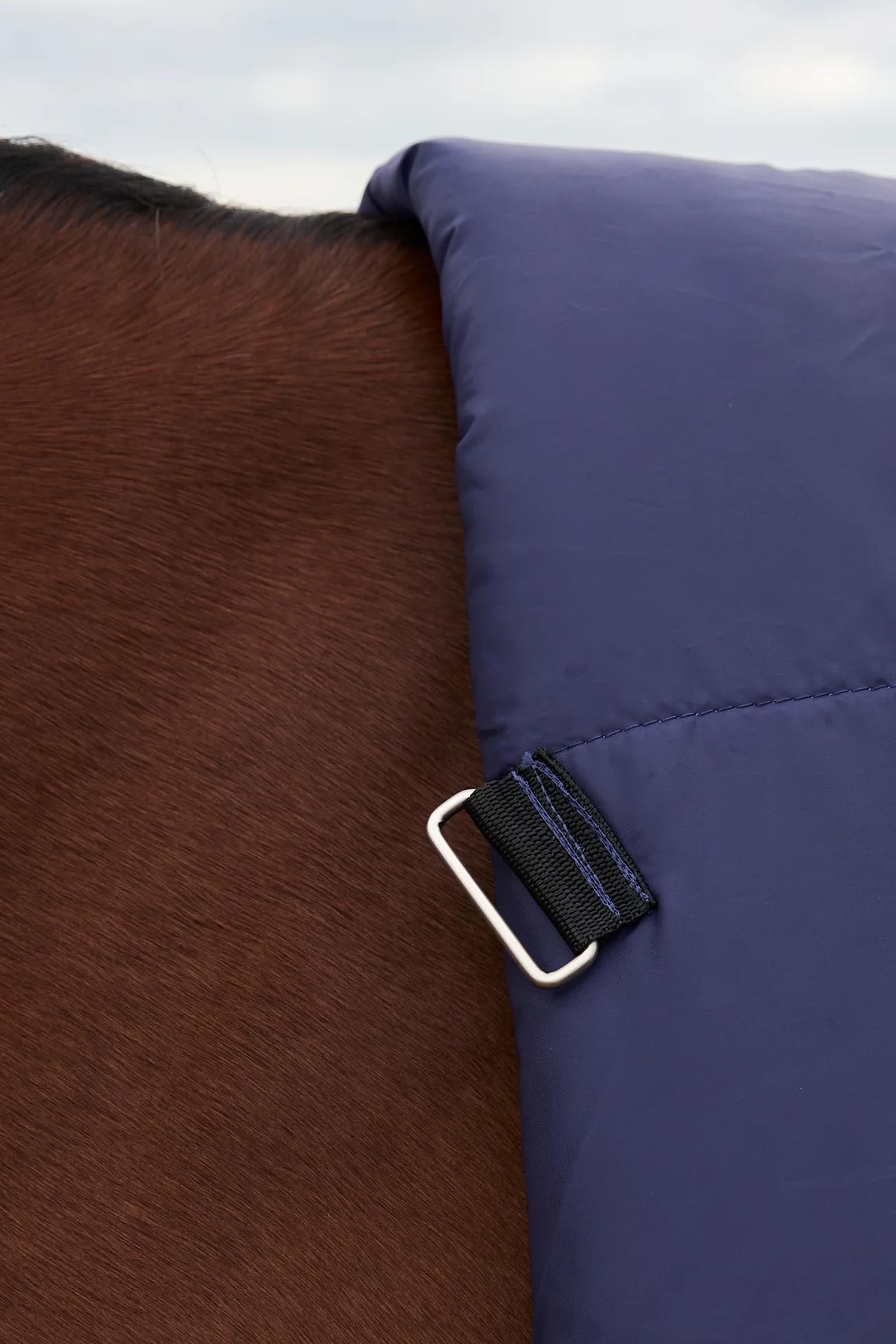 Weatherbeeta Comfitec Plus Dynamic Turnout Rug High Neck 220g Horse Rugs