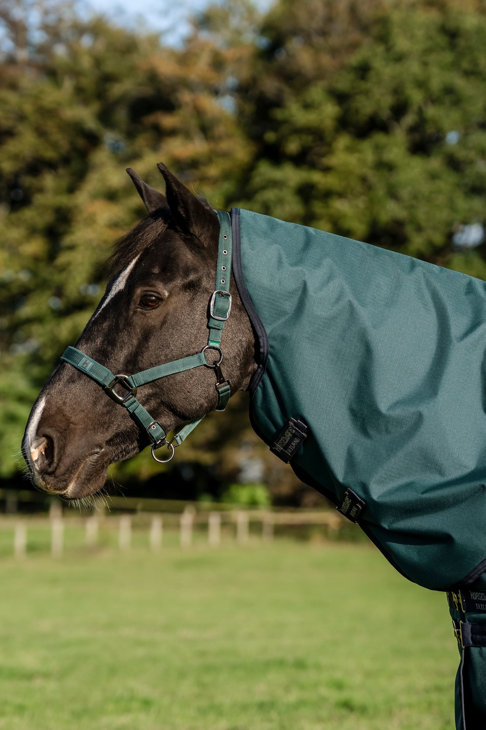 Horseware Amigo Ripstop 900D Plus Pony Turnout Rug, 50 g Horse Rugs